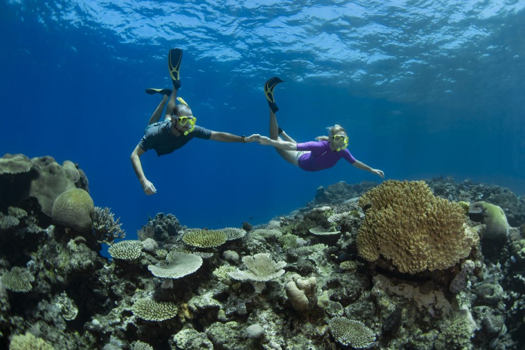 YOTSPACE - Superyacht Voyages - Snorkel Adventures