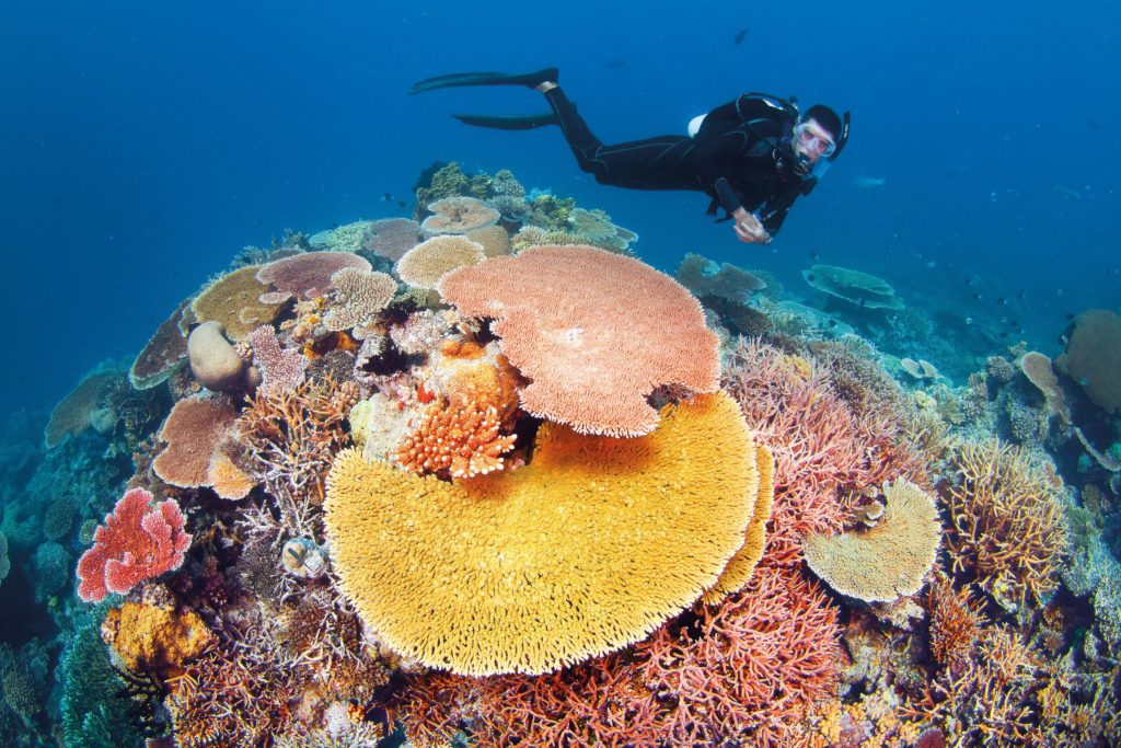 YOTSPACE - Superyacht Voyages - Scuba Diving