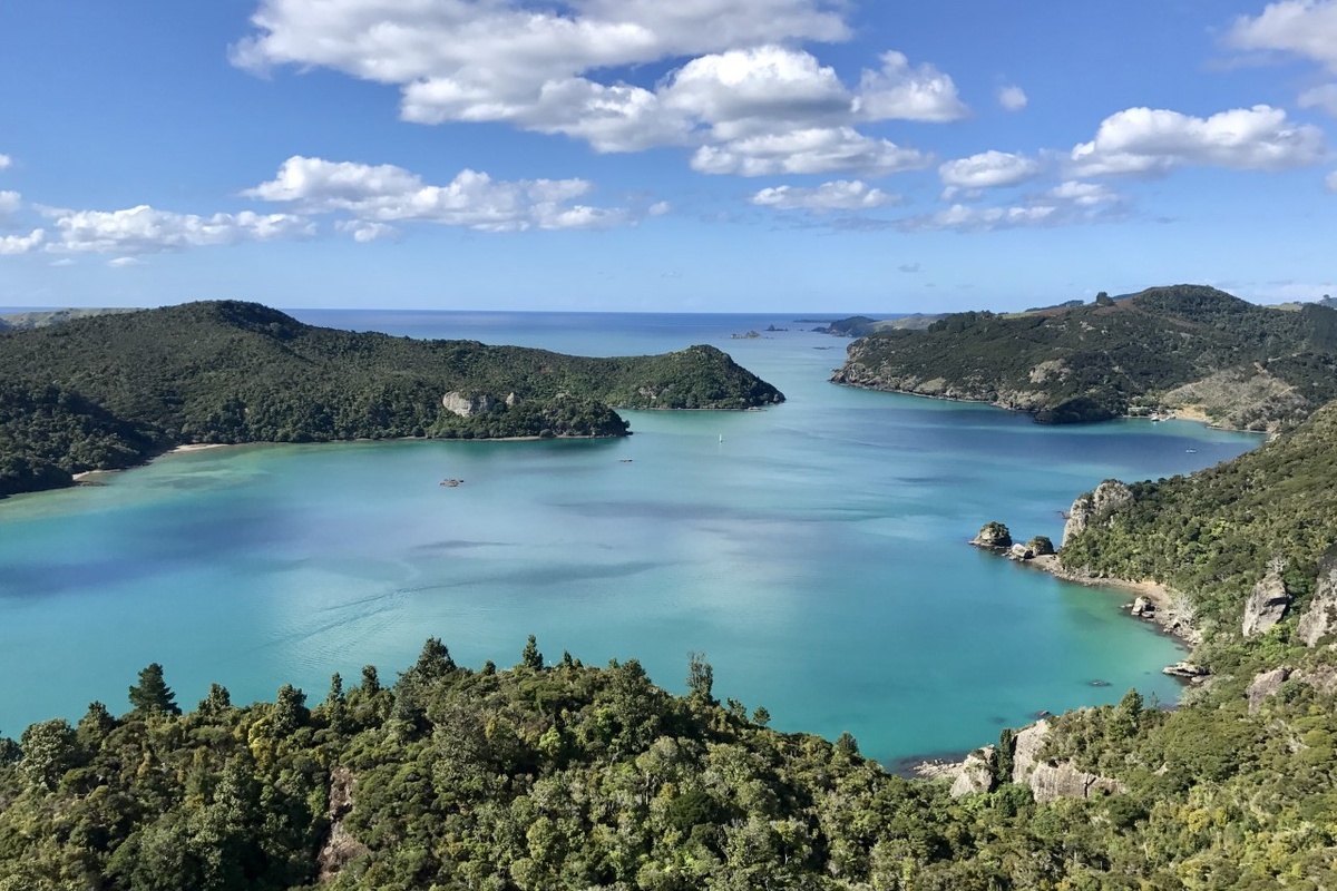 Whangaroa Harbour