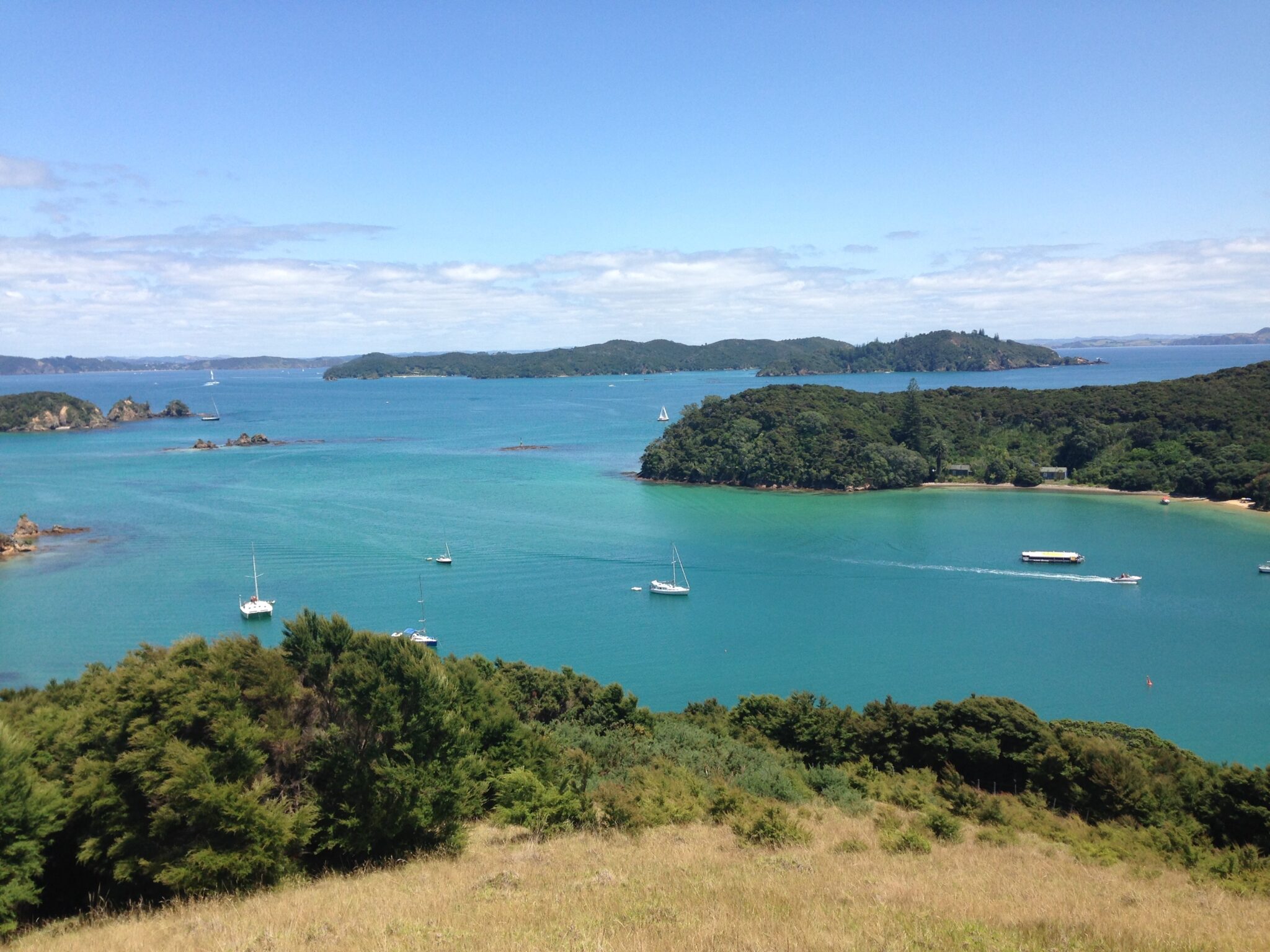 Lookout,From,Urupukapuka,Island,The,Largest,Island,In,The,Bay