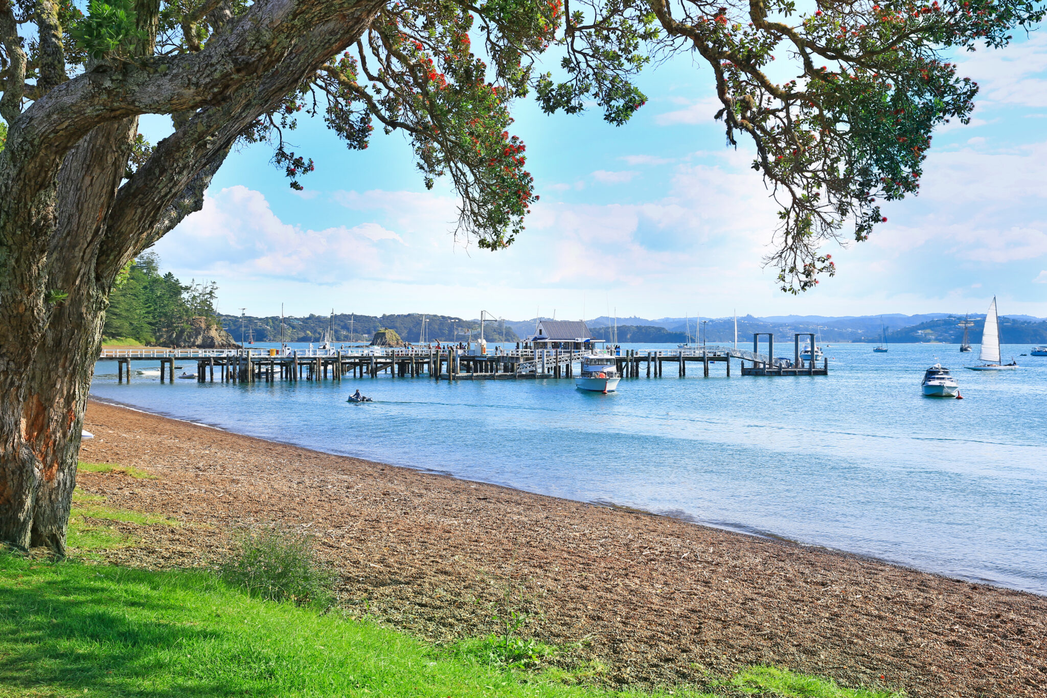 Landscape,From,Russell,Near,Paihia,,Bay,Of,Islands,,New,Zealand