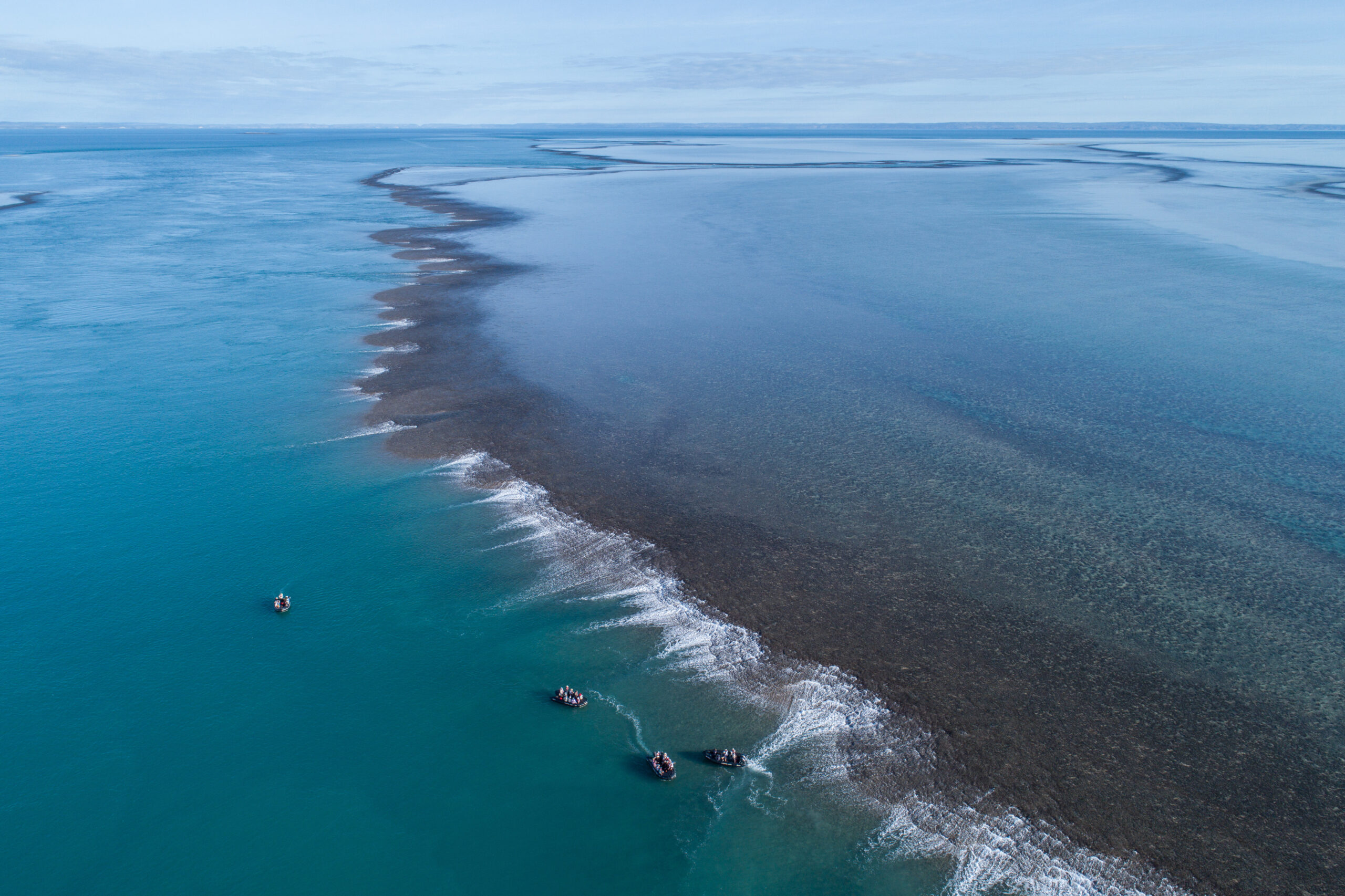 Montgomery,Reef
