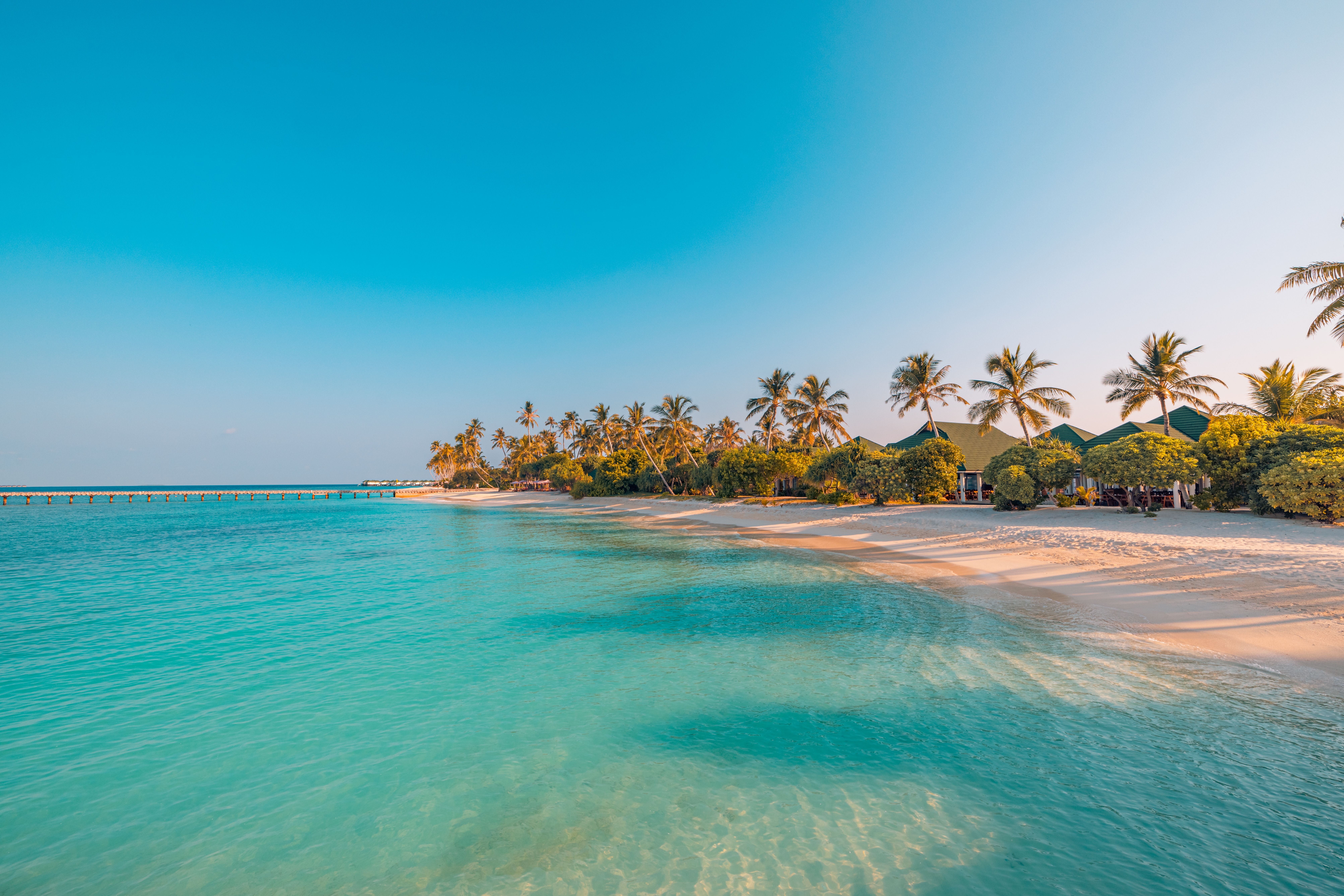 Beautiful,Tropical,Beach,Sea,Coast.,White,Sand,,Palm,Trees,,Turquoise