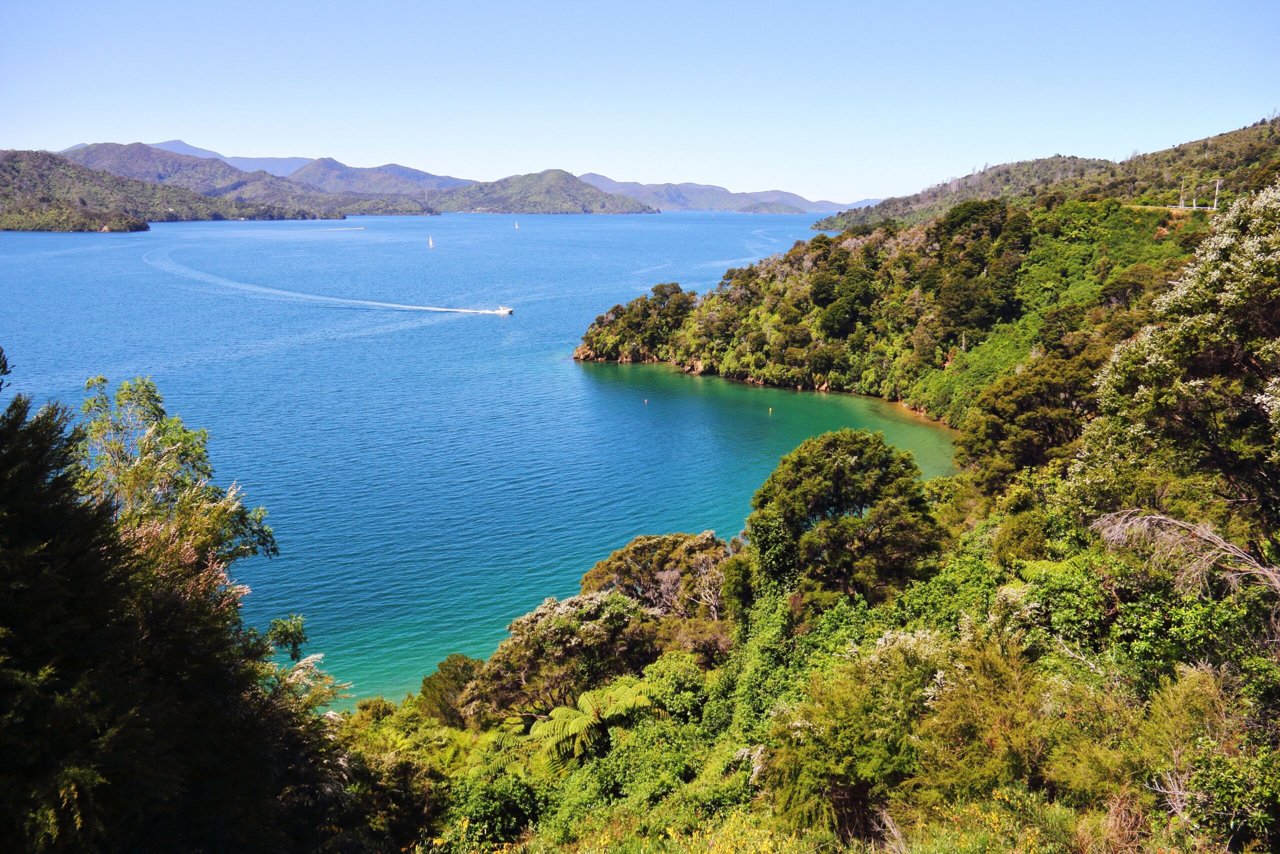 A,Breathtaking,View,Of,The,Winding,Waterways,Of,The,Marlborough