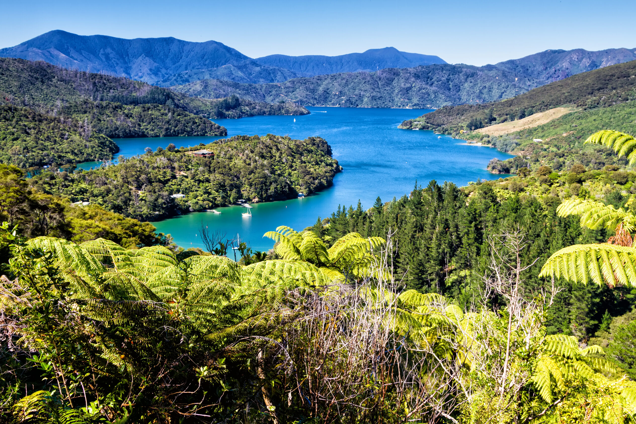 View,Of,Bays,In,Queen,Charlotte,Sound,,Picton,,Marlborough,Region,