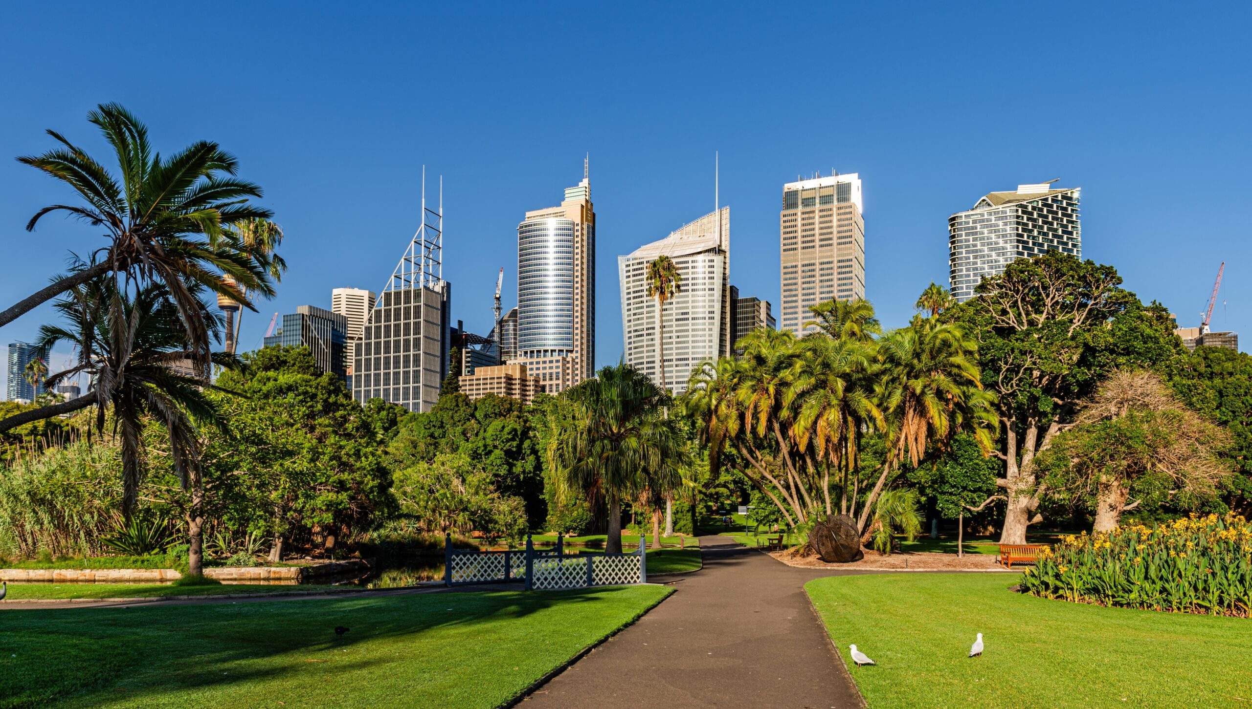 Sydney,,Australia,,Sydney,Skyline,Viewed,From,Royal,Botanic,Gardens
