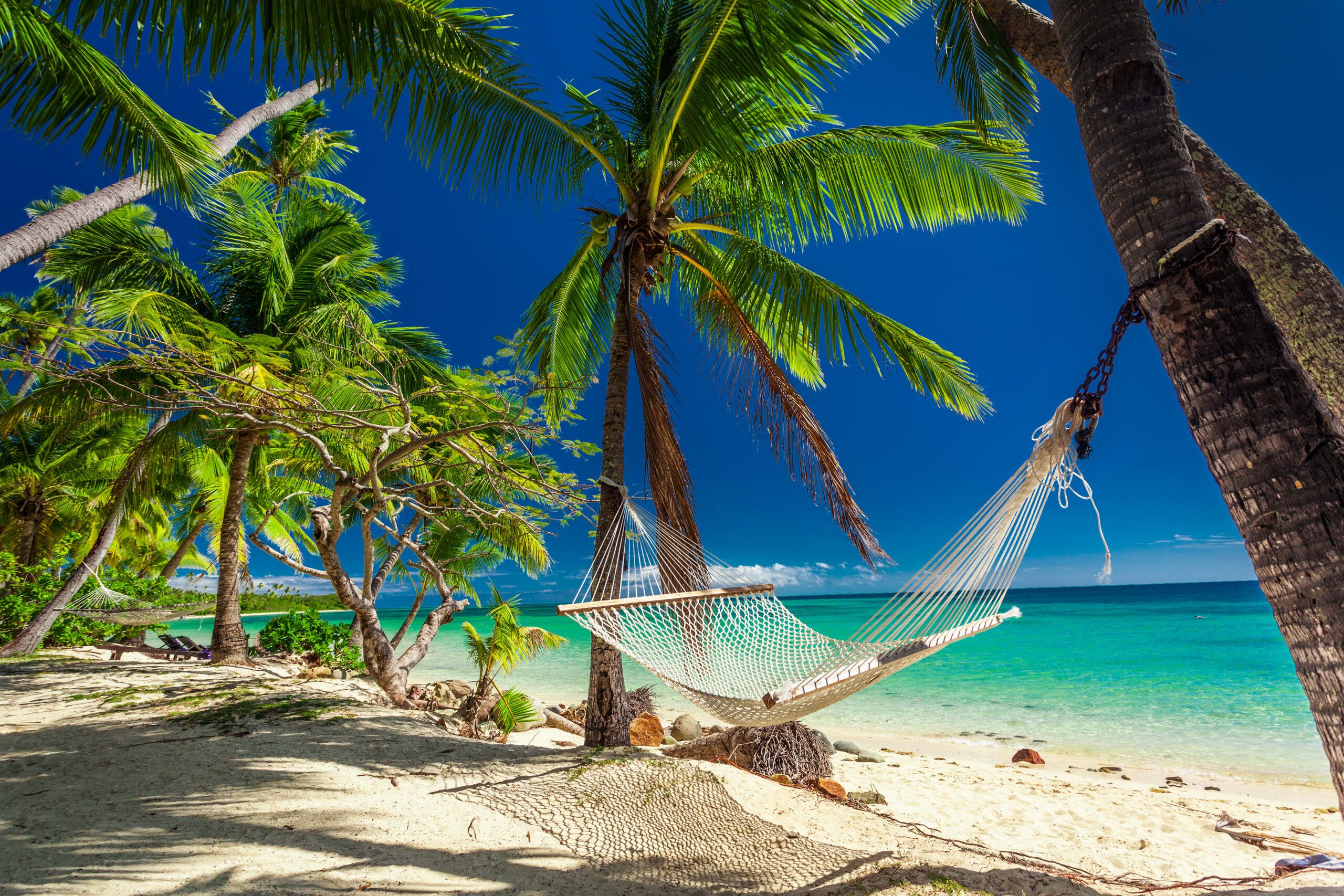 Empty,Hammock,In,The,Shade,Of,Palm,Trees,On,Tropical