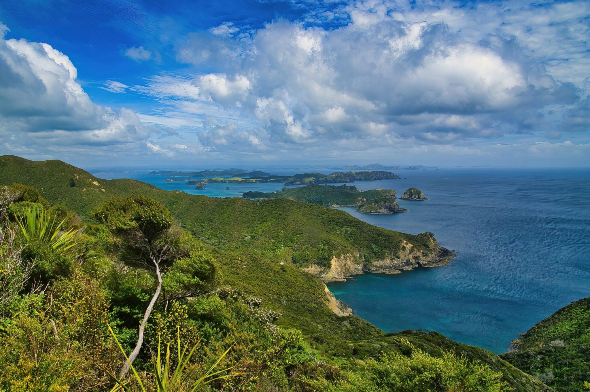 Coastal,Scenery,With,Islands,Along,The,Cape,Brett,Track,,A