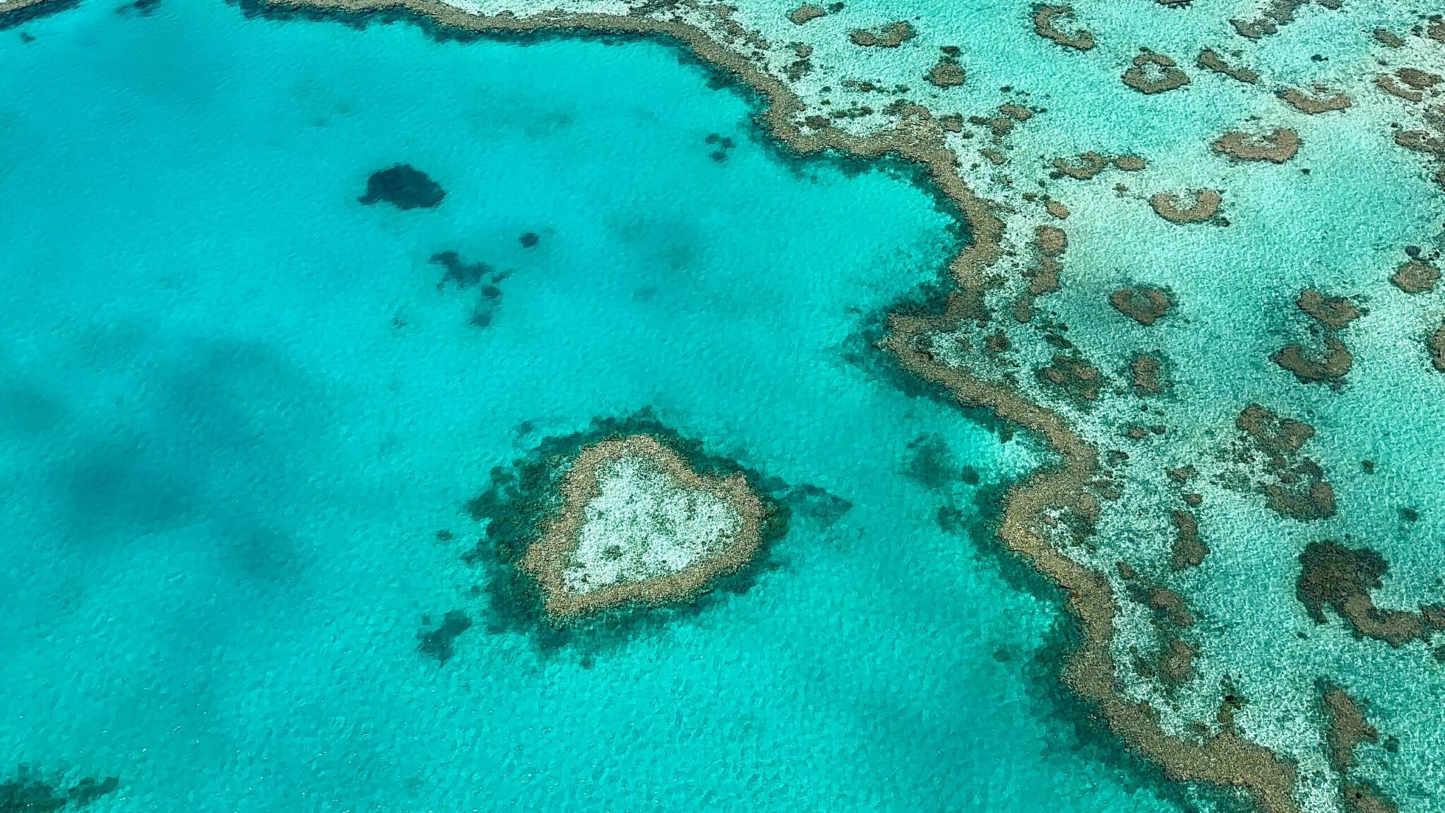 Heart Reef, Whitsundays Australia