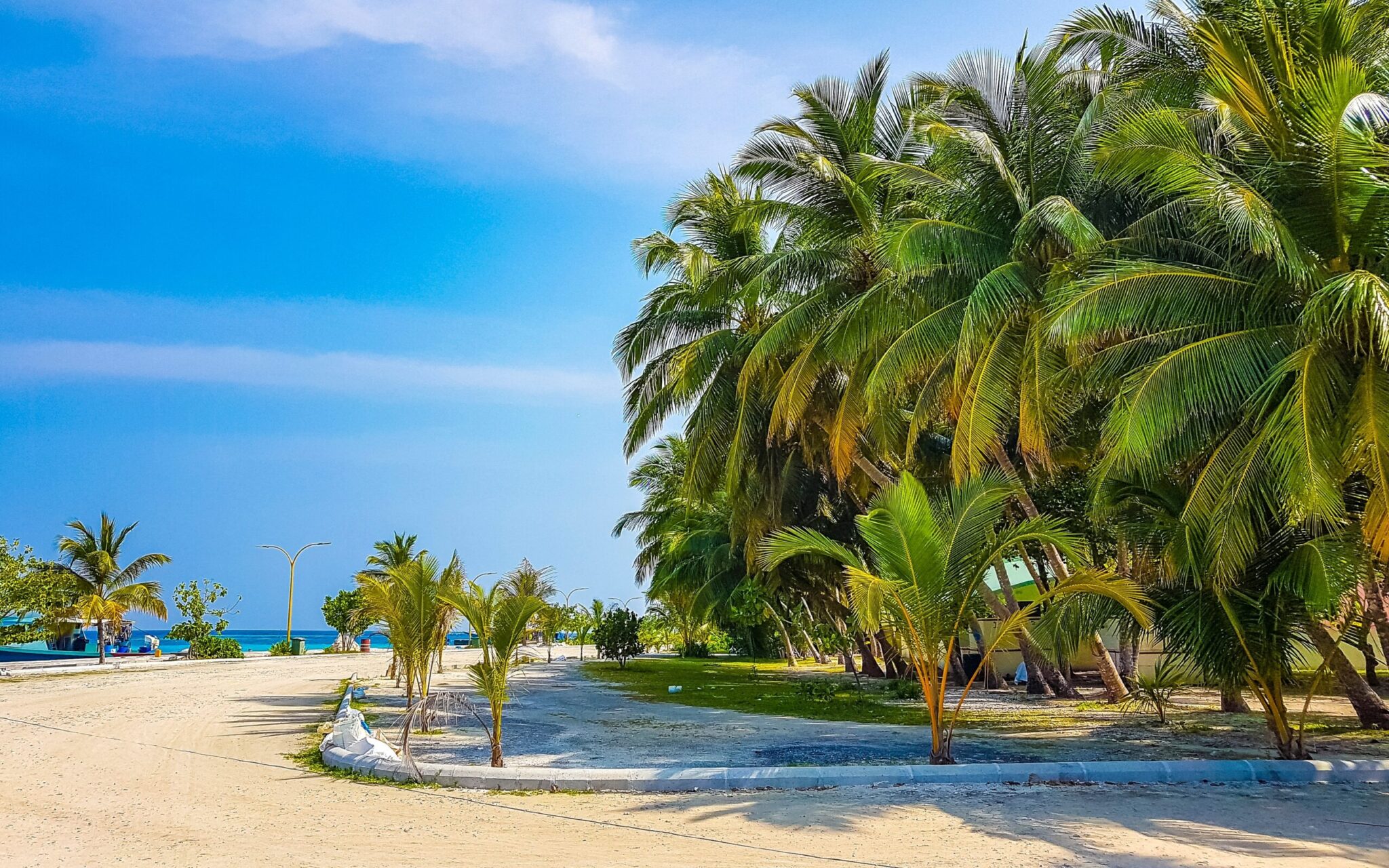 Natural,Tropical,Plants,And,Palm,Trees,Mangrove,At,Sandbank,Islands