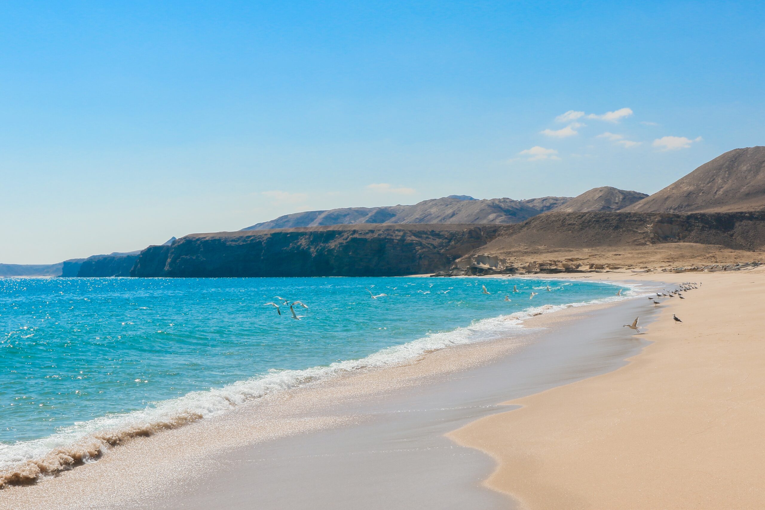 Explore,The,Serene,Turtle,Beach,In,Oman,Where,Golden,Sand
