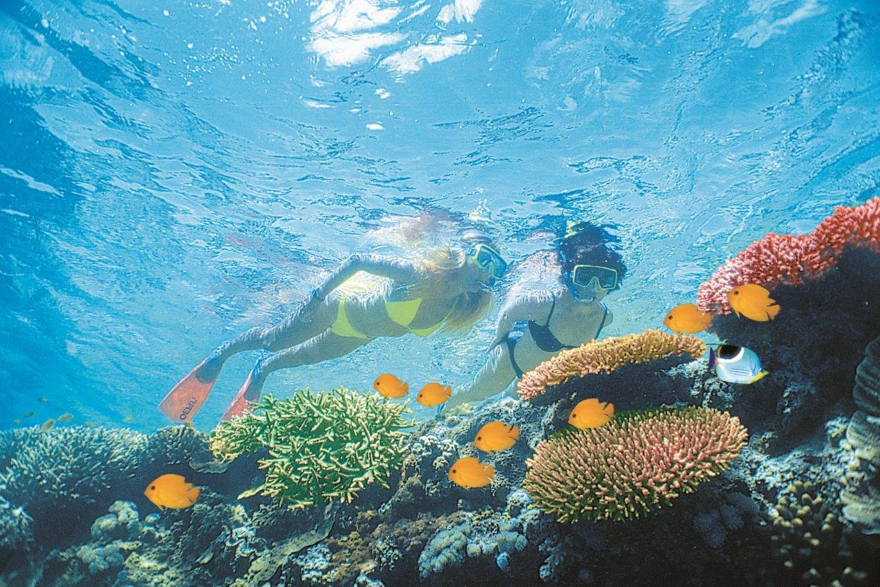 Snorkelling in the Whitsundays, Great Barrier Reef, Australia