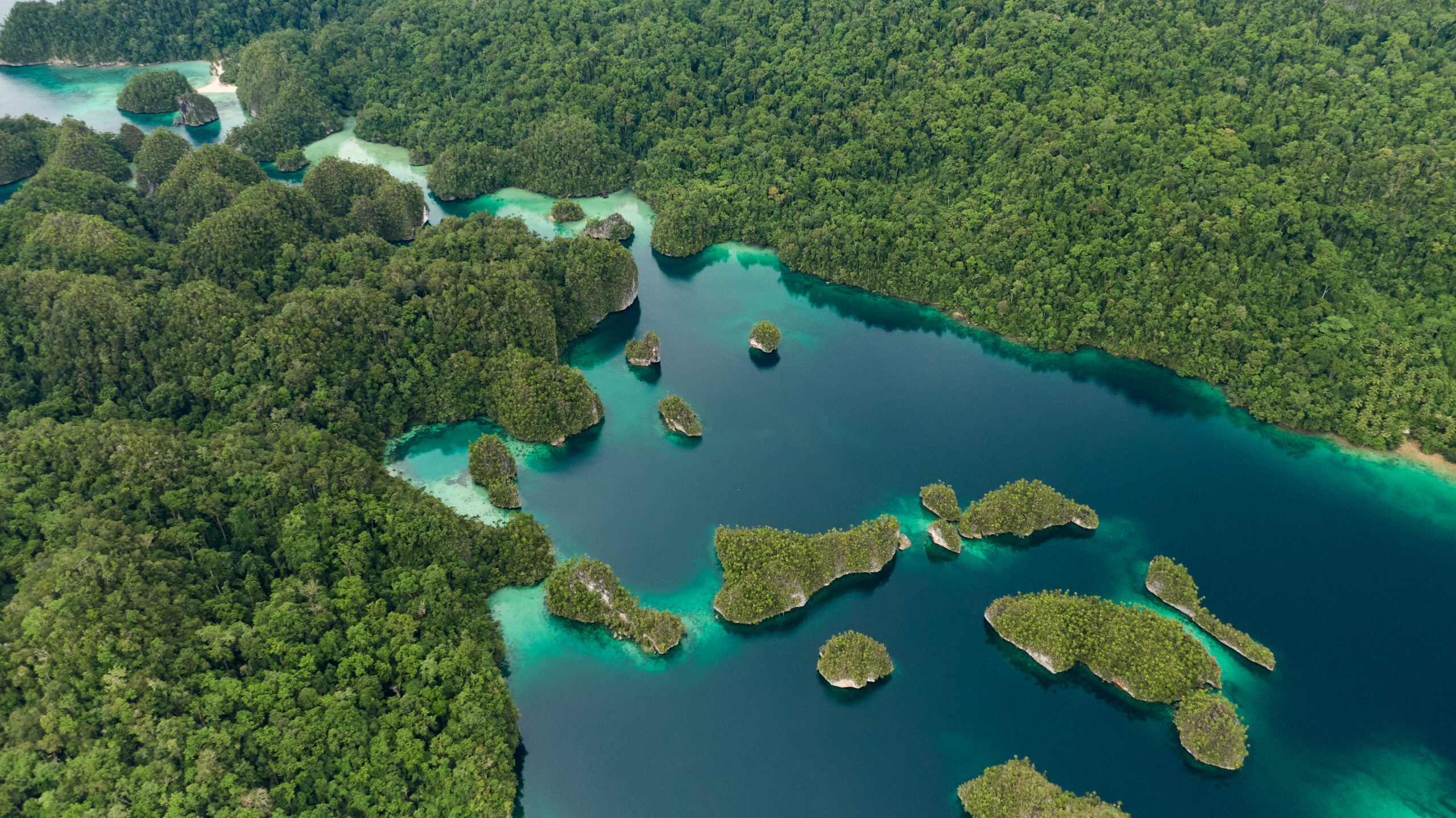Triton,Bay,,Kaimana,Aerial,View:,Beautiful,Landscape,Of,Turquoise,Bay