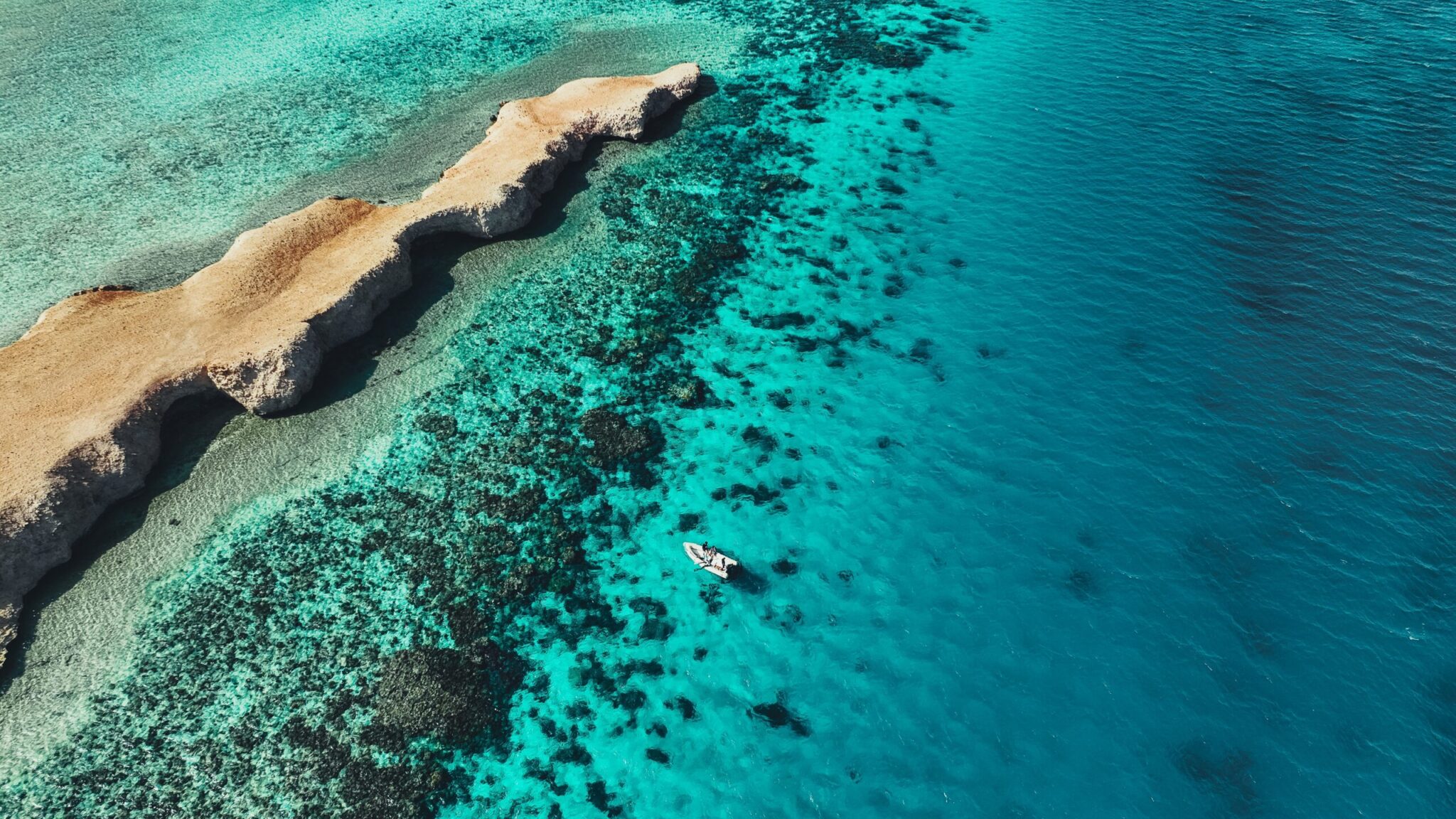 The,Vibrant,Waters,Of,Neom,Are,Home,To,Some,Of