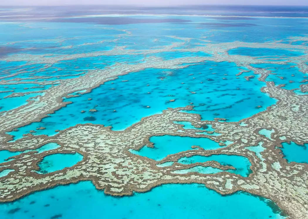 Hardy Reef Whitsundays, Great Barrier Reef
