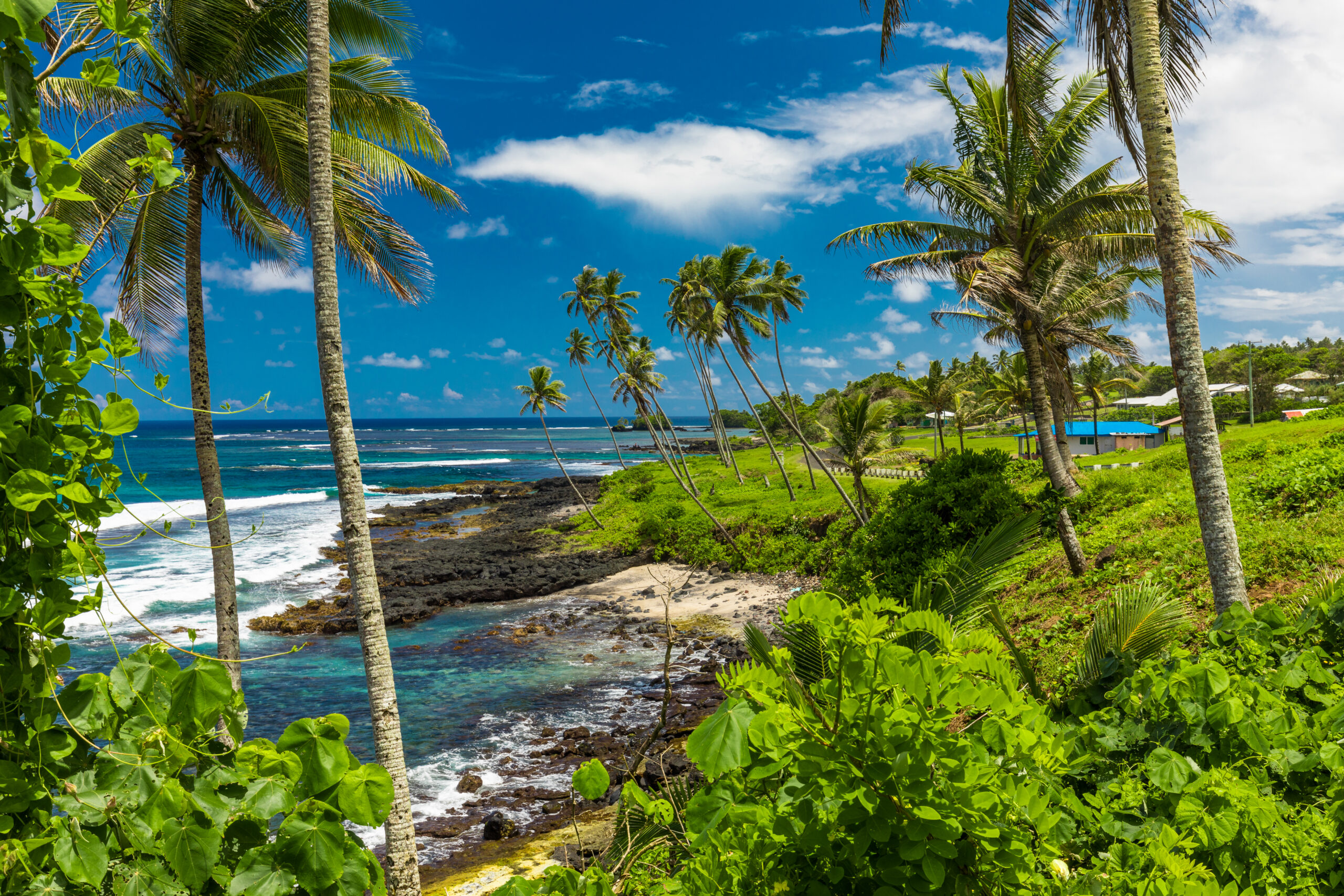 Tropical,Beach,On,South,Side,Of,Samoa,Island,With,Coconut