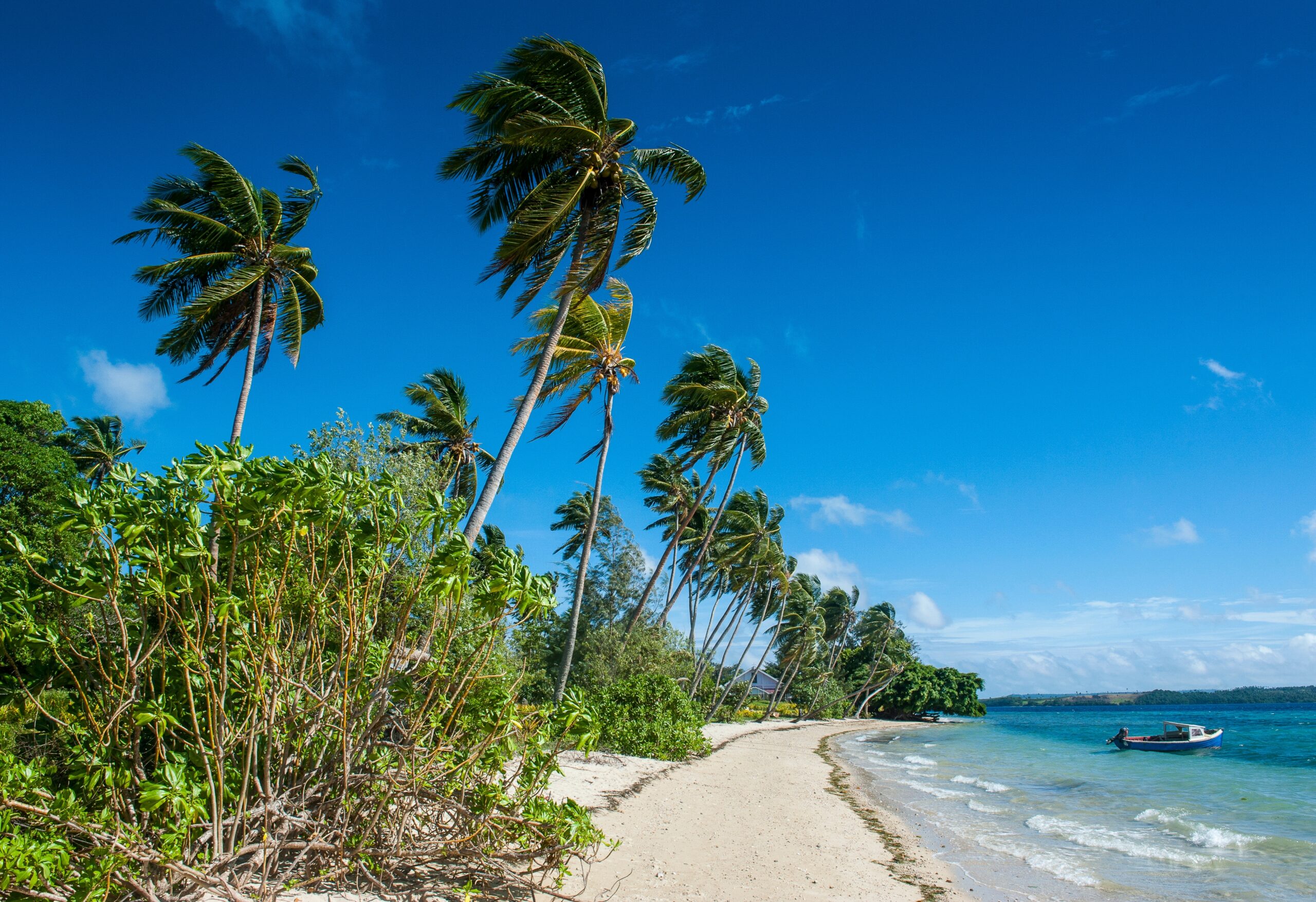 Palm,Fringed,White,Sand,Beach,On,An,Islet,Of,Vavau,