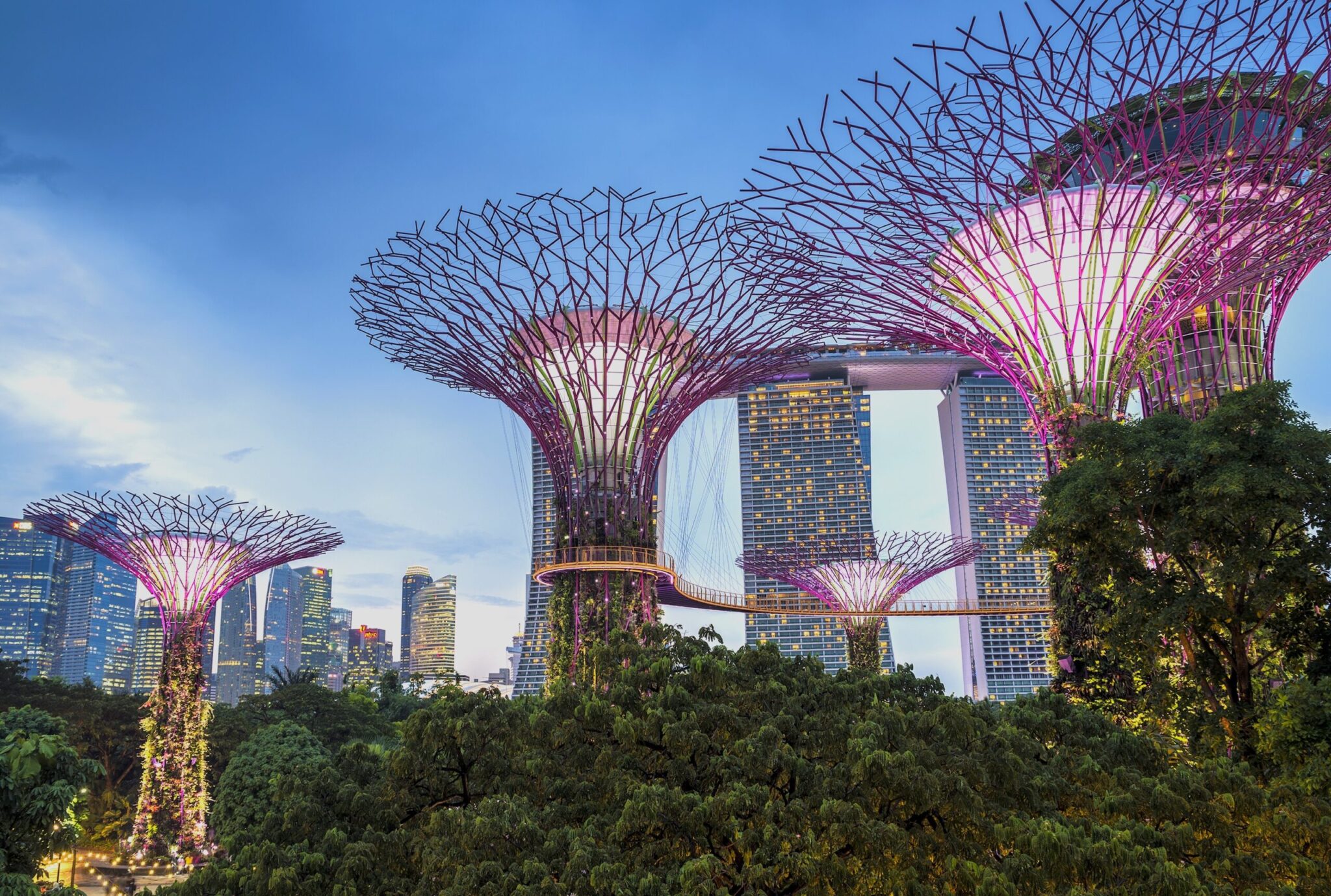 Gardens,By,The,Bay,Is,A,Network,Of,Modern,Greenhouses