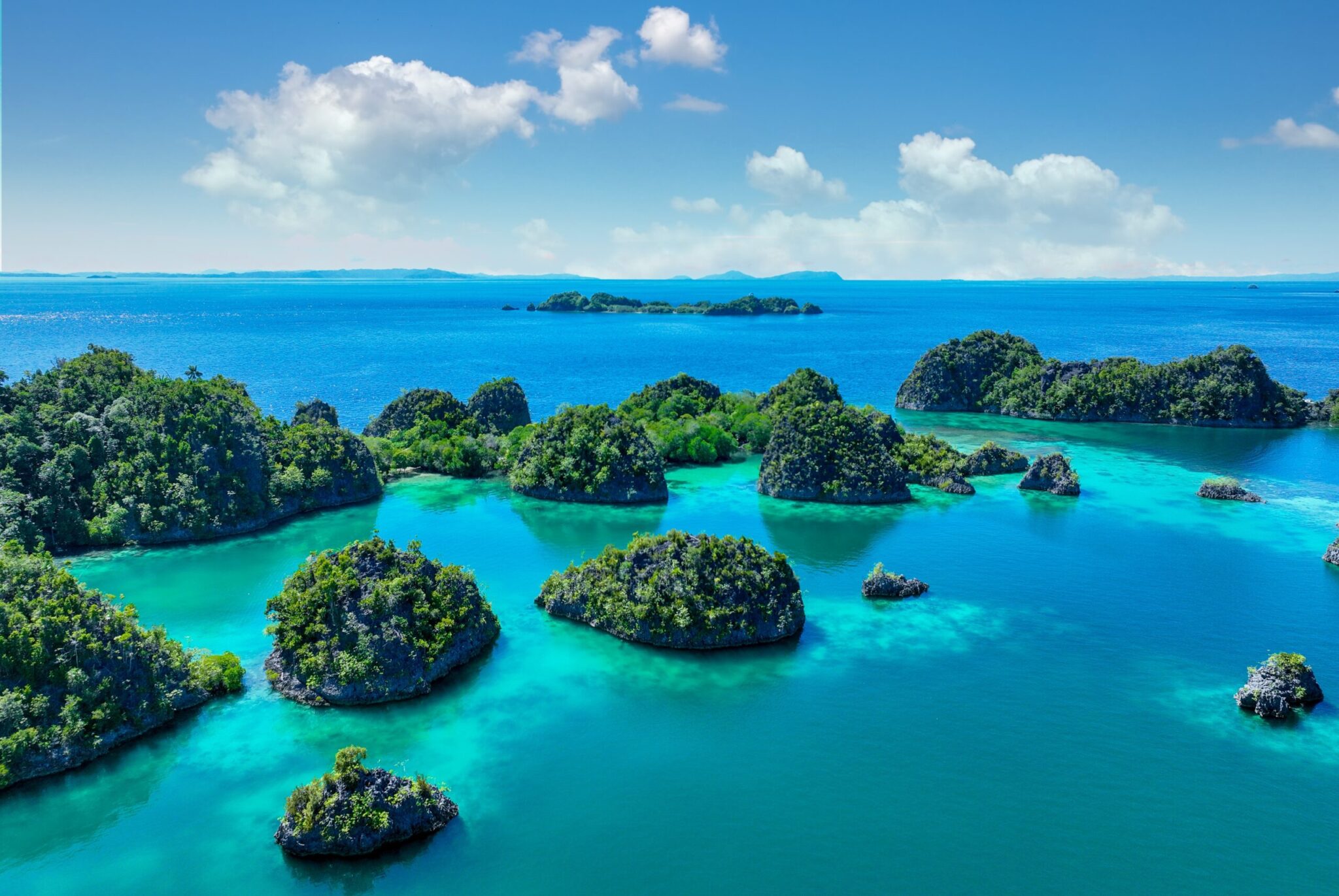Papua New Guinea