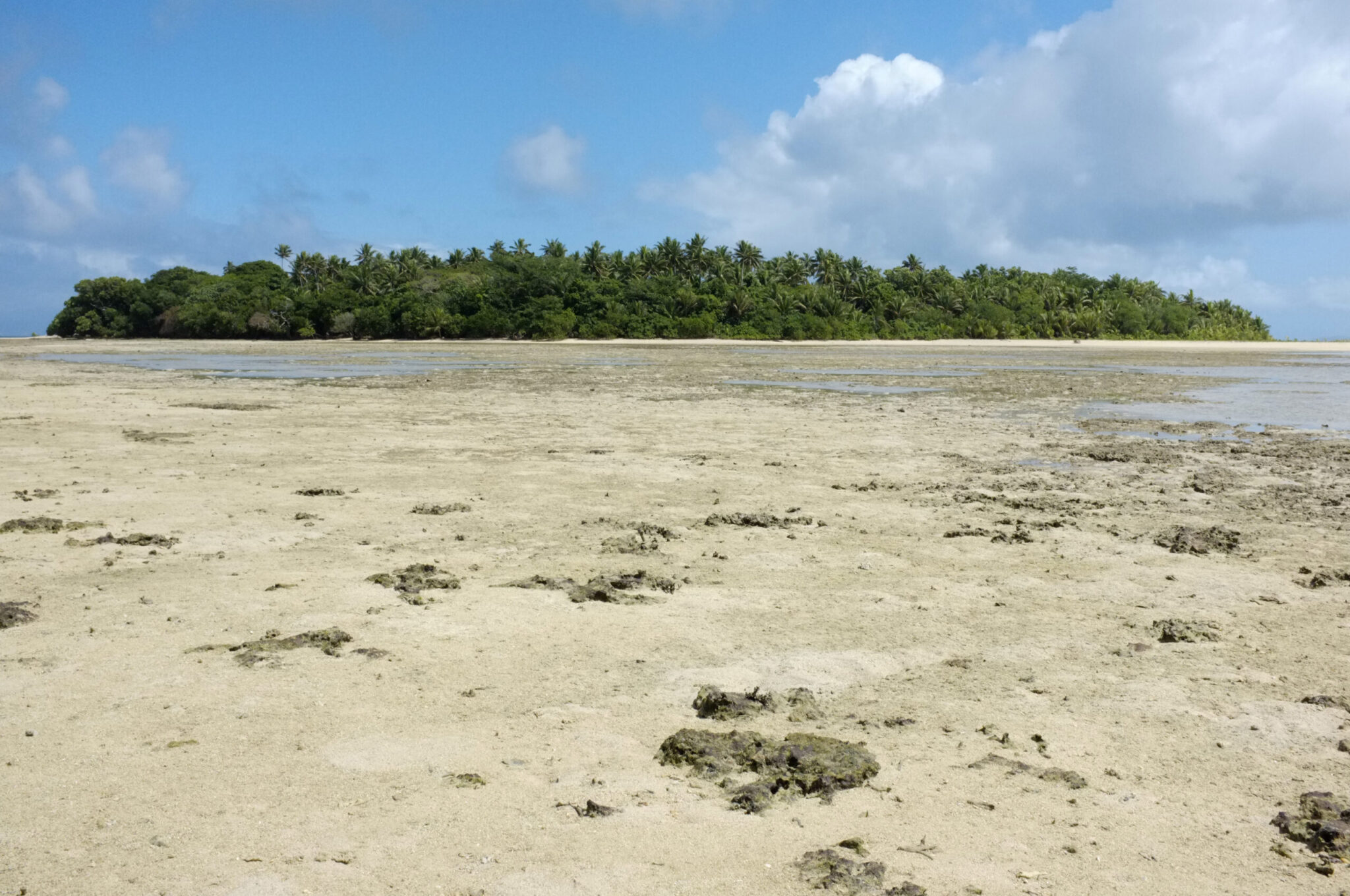 Low,Tide,In,Fiji,Islands