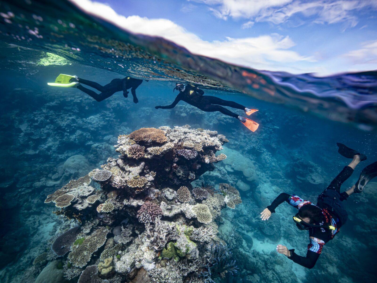 Dreamtime Dive and Snorkel, QLD