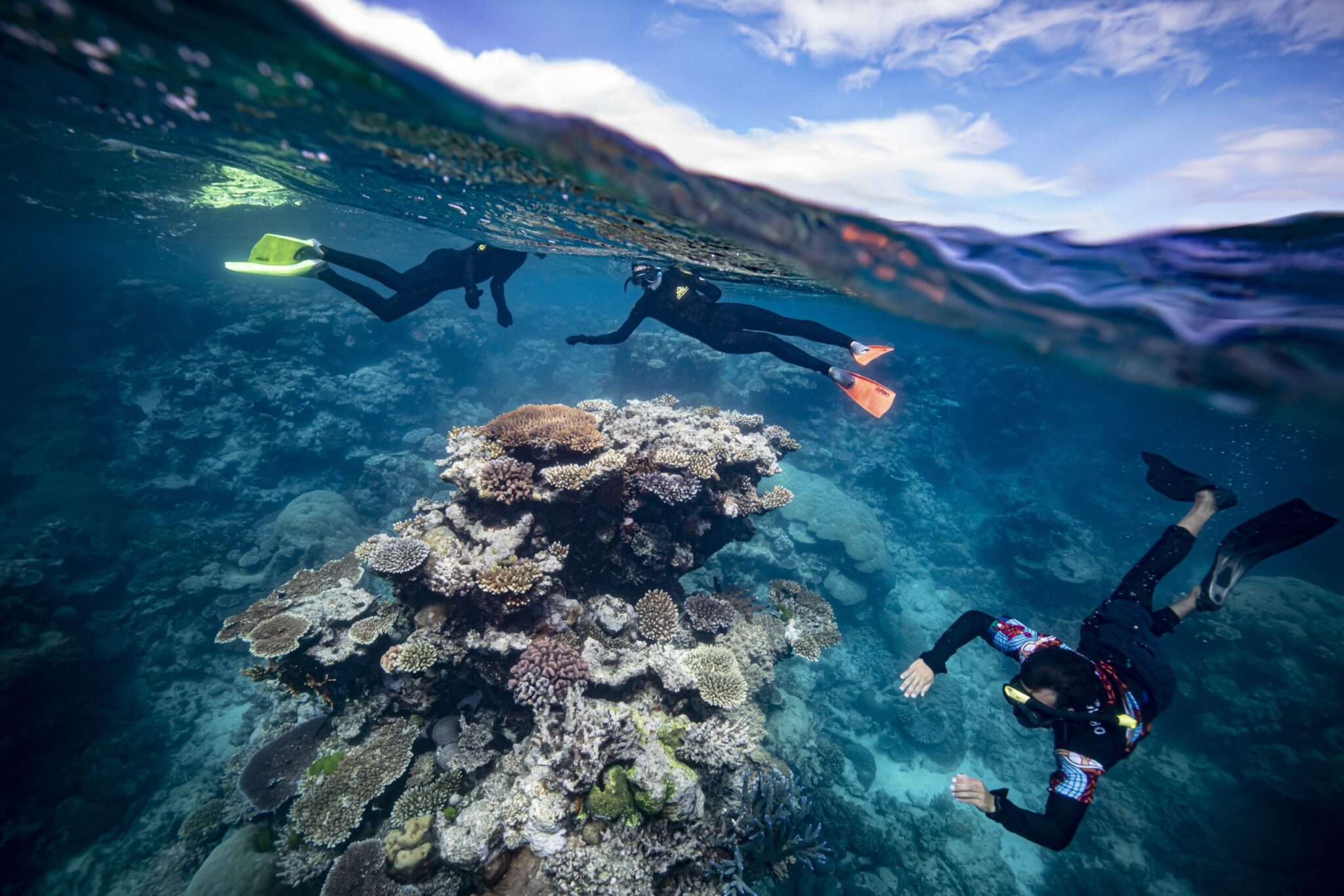 Dreamtime Dive and Snorkel, QLD