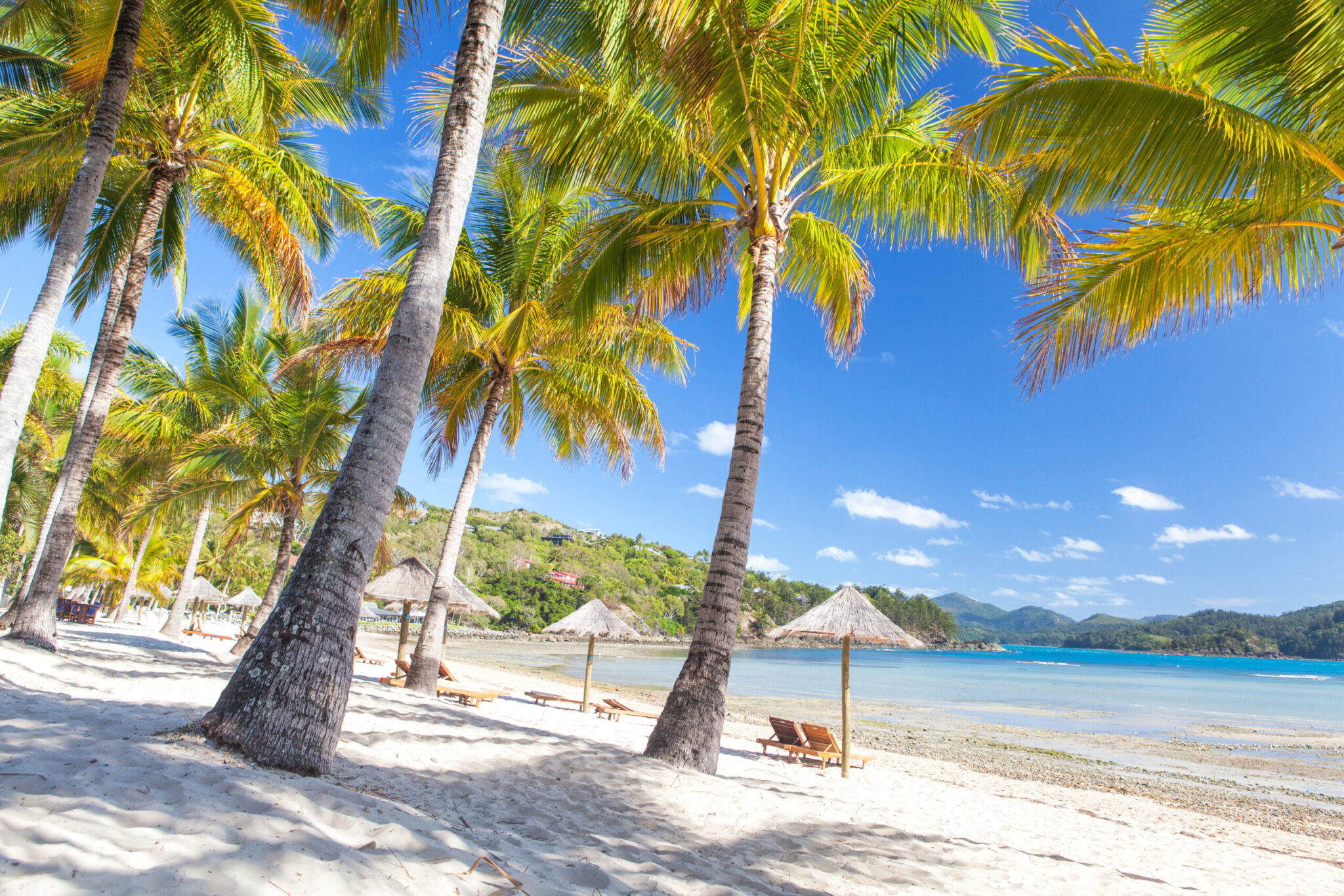 Catseye,Beach,On,Hamilton,Island,In,The,Whitsundays,,Queensland,,Australia