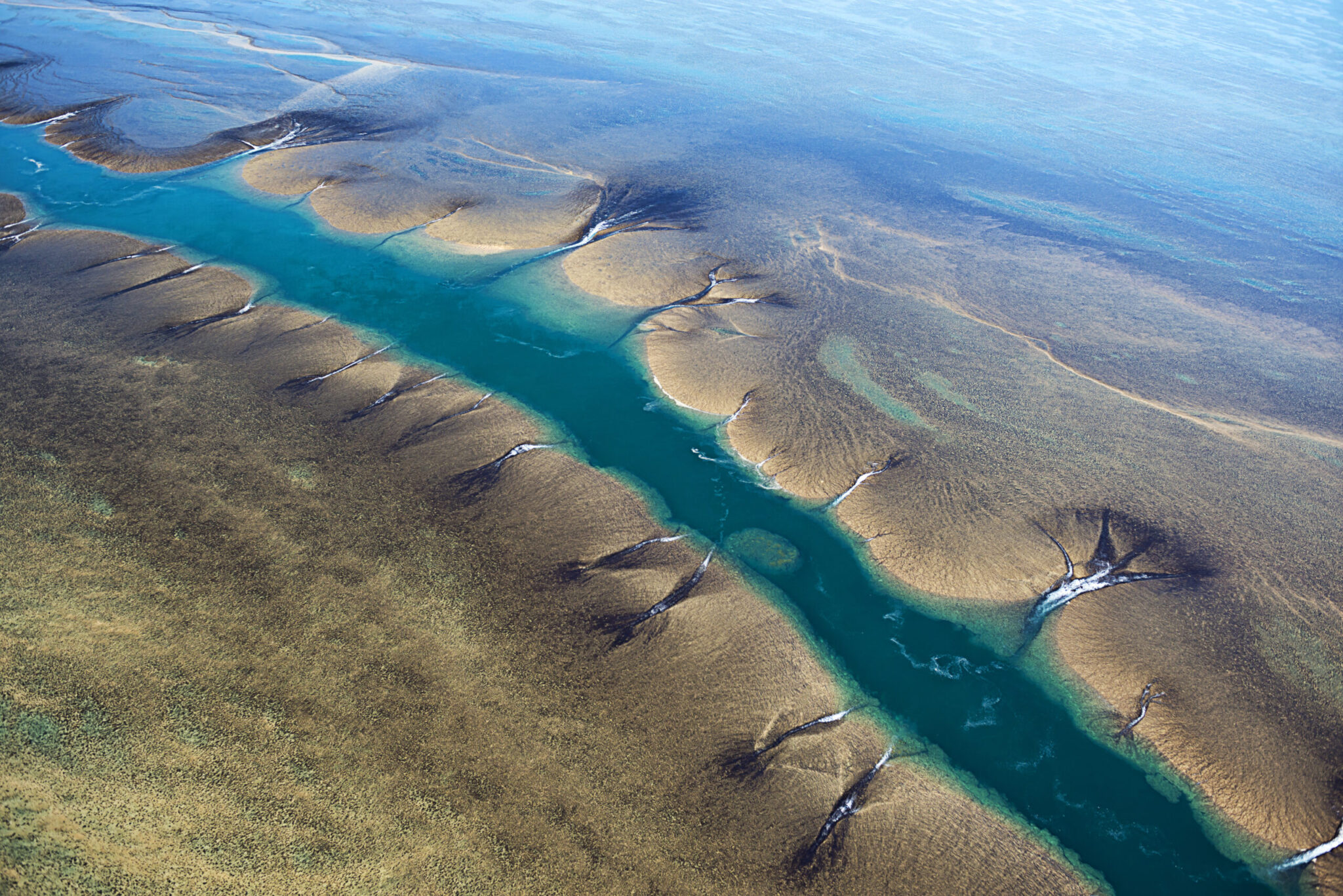 Montgomery Reef, Kimberley