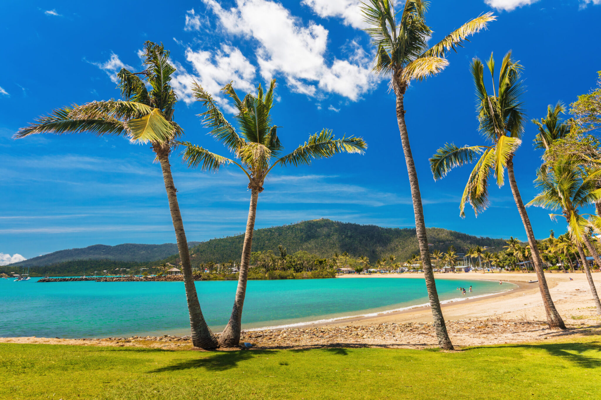 Sunny,Day,On,Sandy,Beach,With,Palm,Trees,,Airlie,Beach,