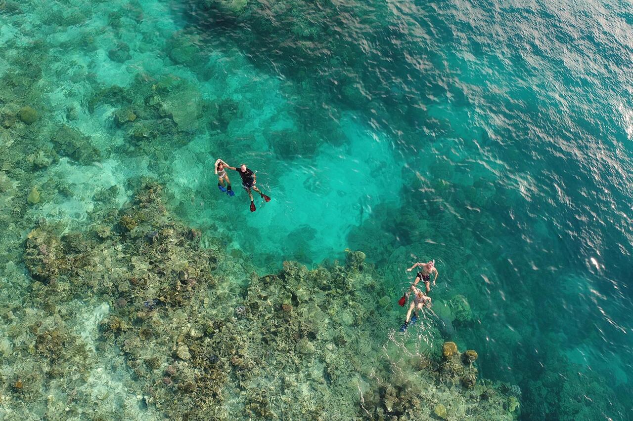 YOTSPACE-Charters-IP-Snorkelling