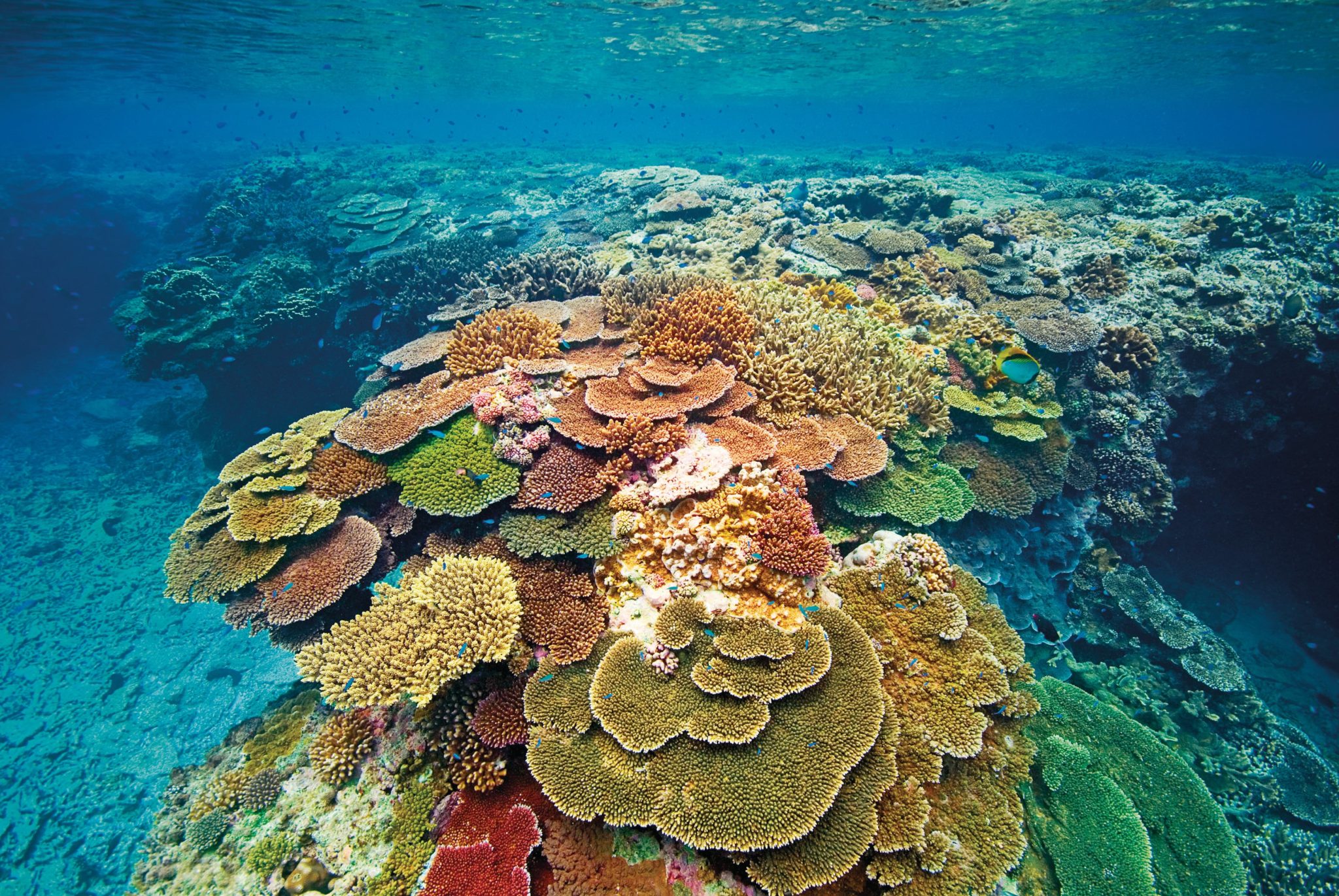 Great Barrier Reef Yacht Charter Destination Australia