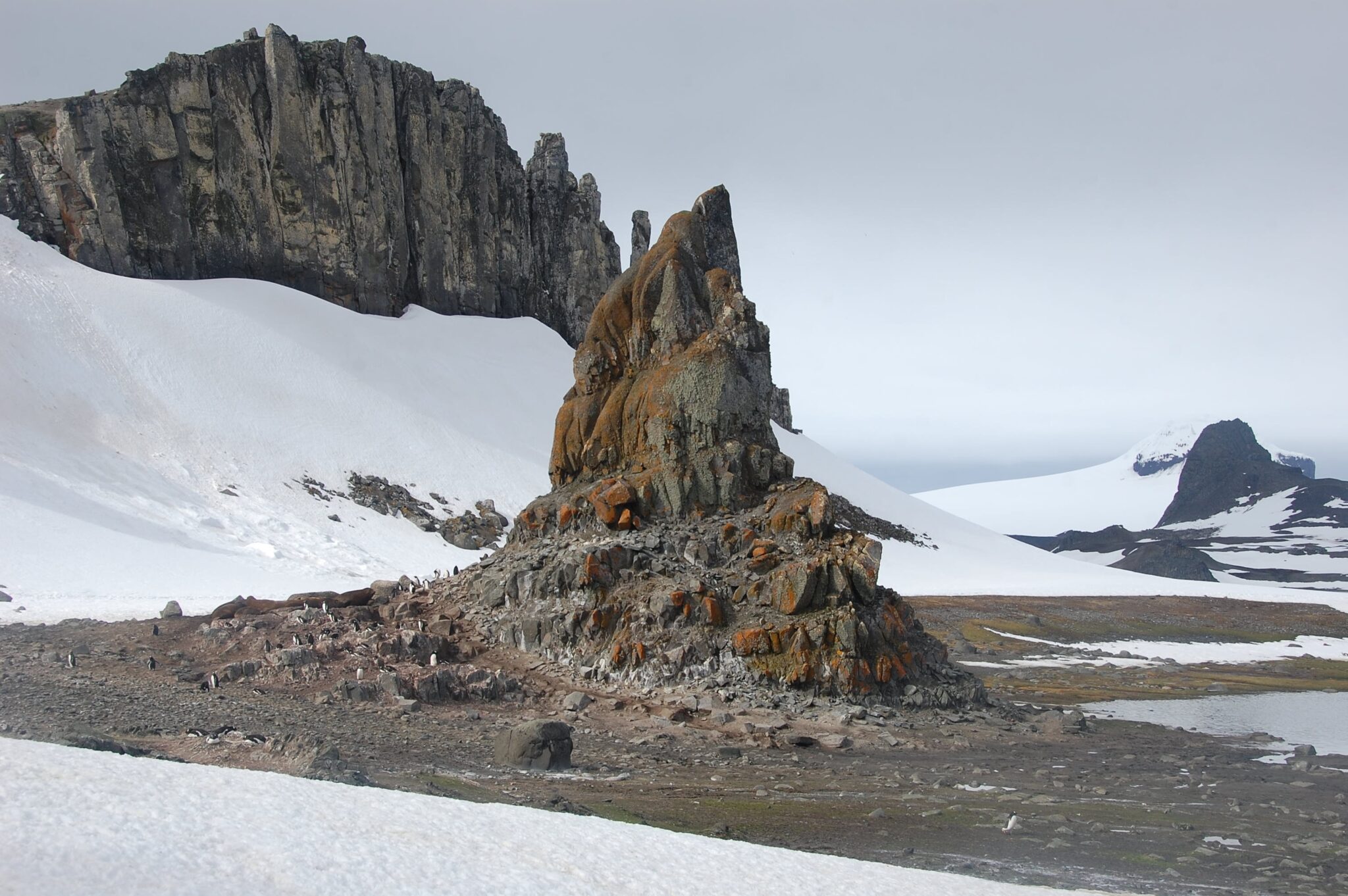 Spire,Formation,On,Barrientos,Island,,Antarctica