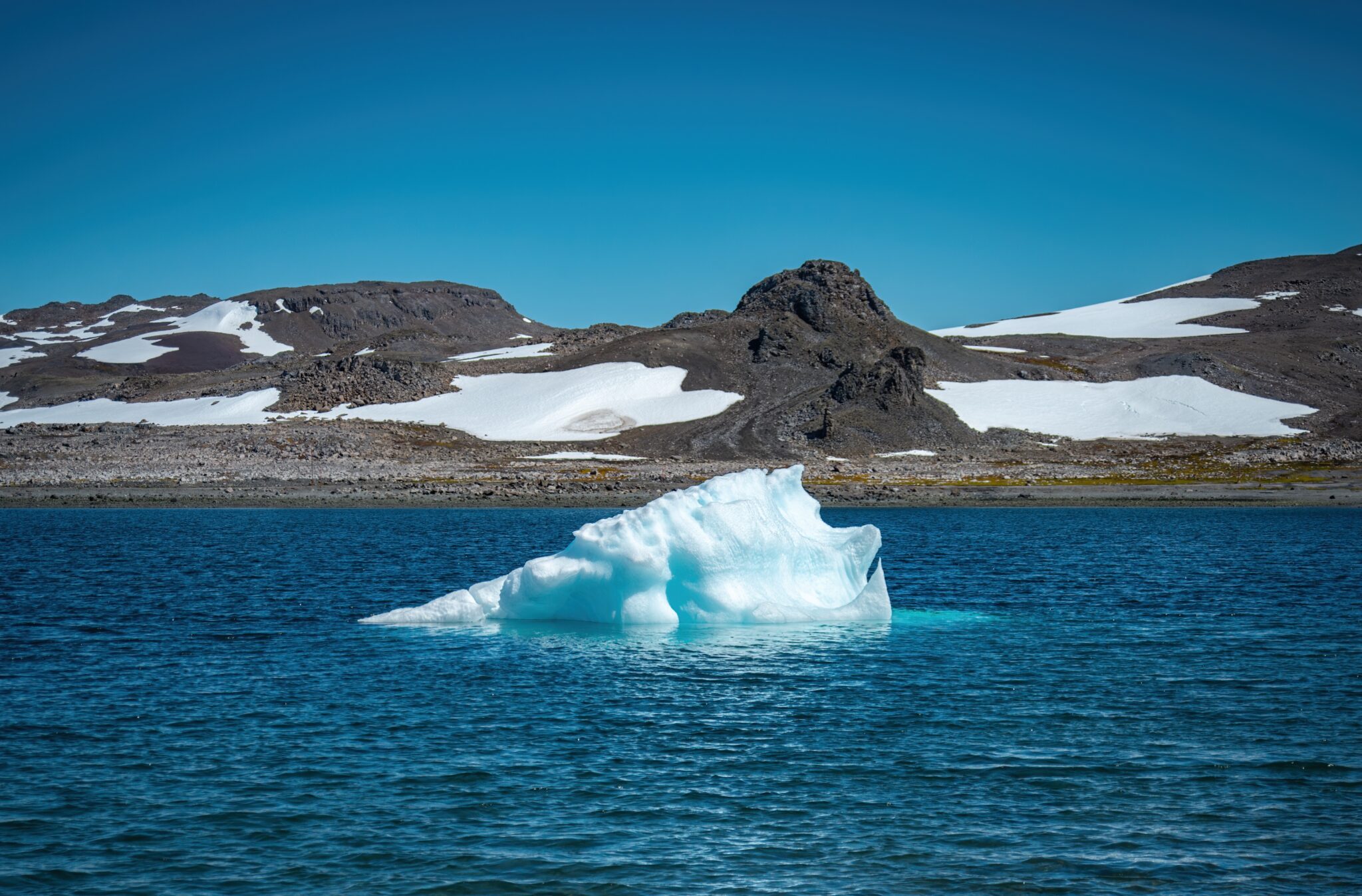 Small,Ice,Floe,In,The,Bay,,King,George,Island,southern,Ocean,