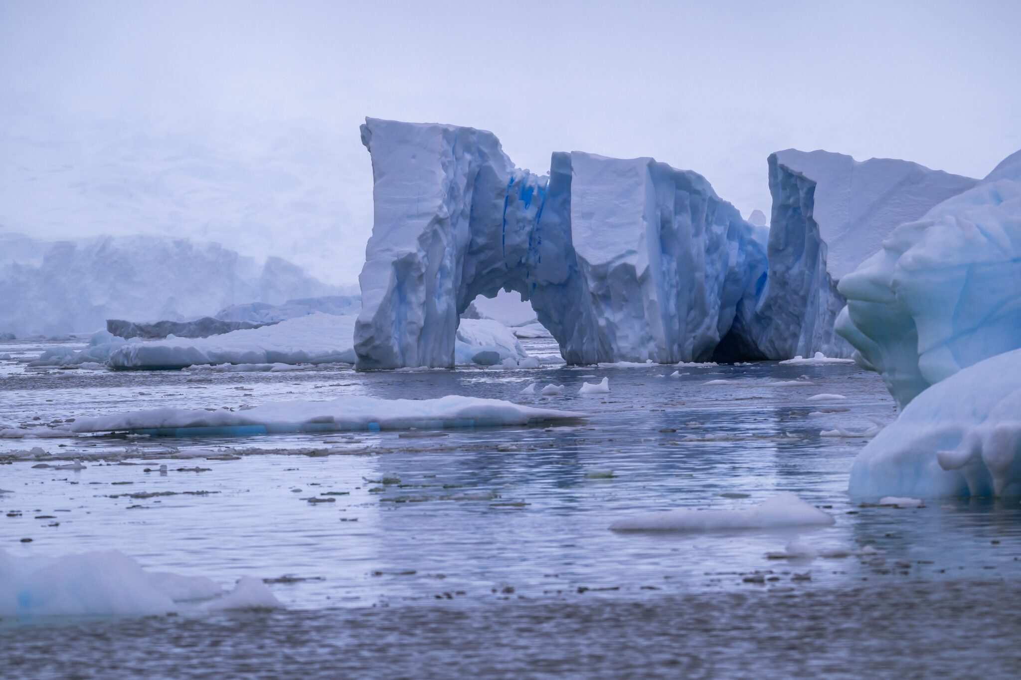 Ice,Burgs,In,Paradise,Bay,Antarctica