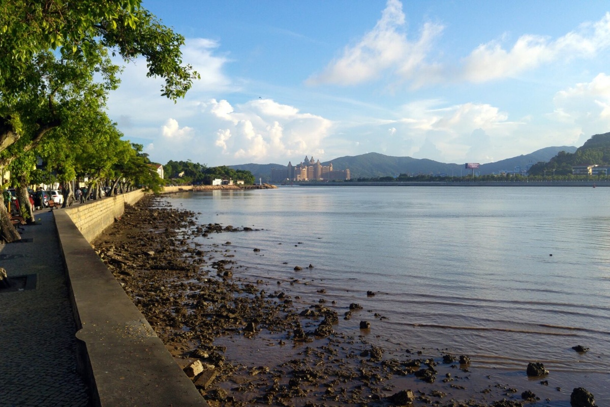 Coloane seashore