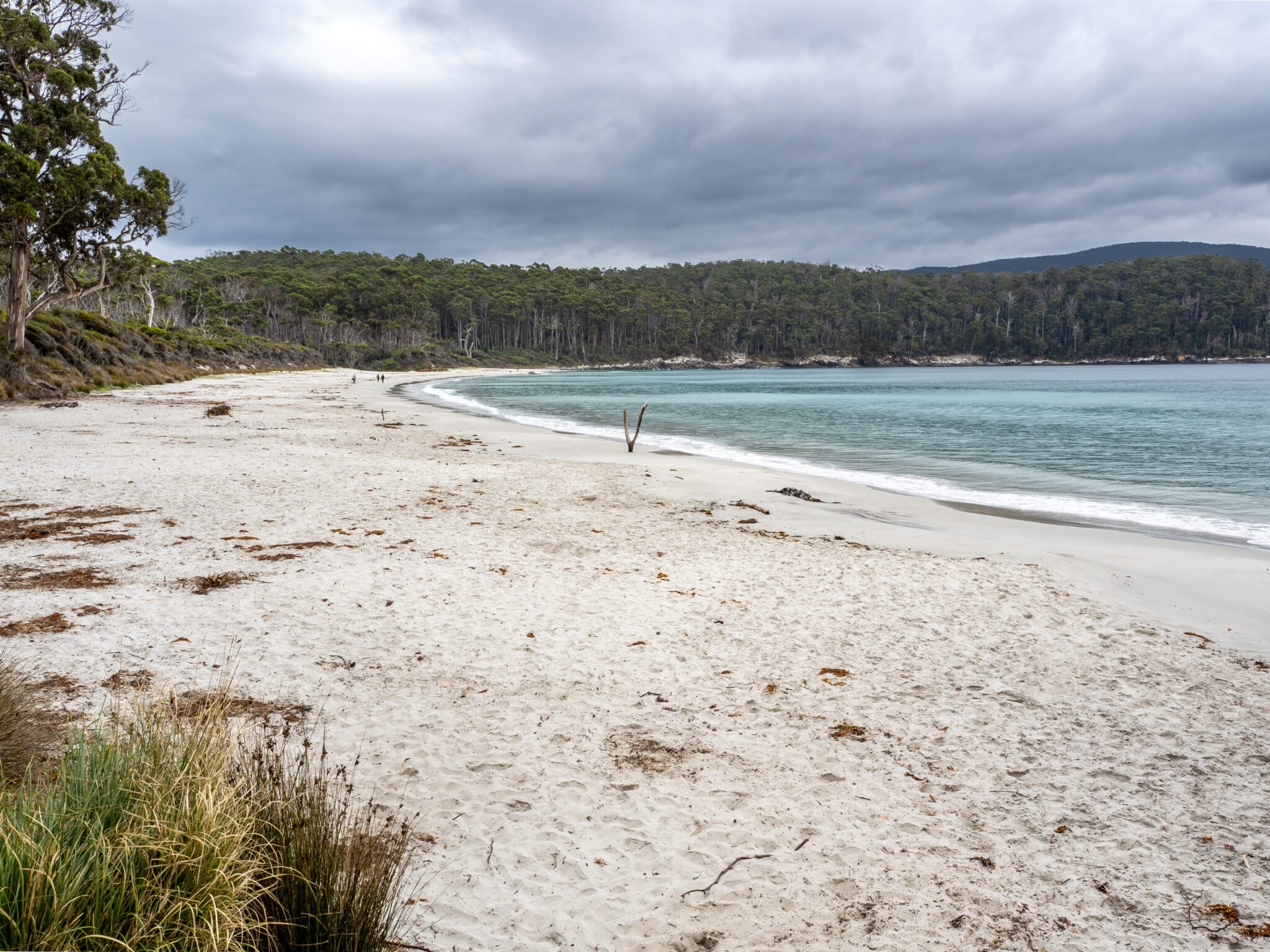 Fortescue,Bay,Beach,Is,Tasman,National,Park,,Tasmania,Island,,Australia