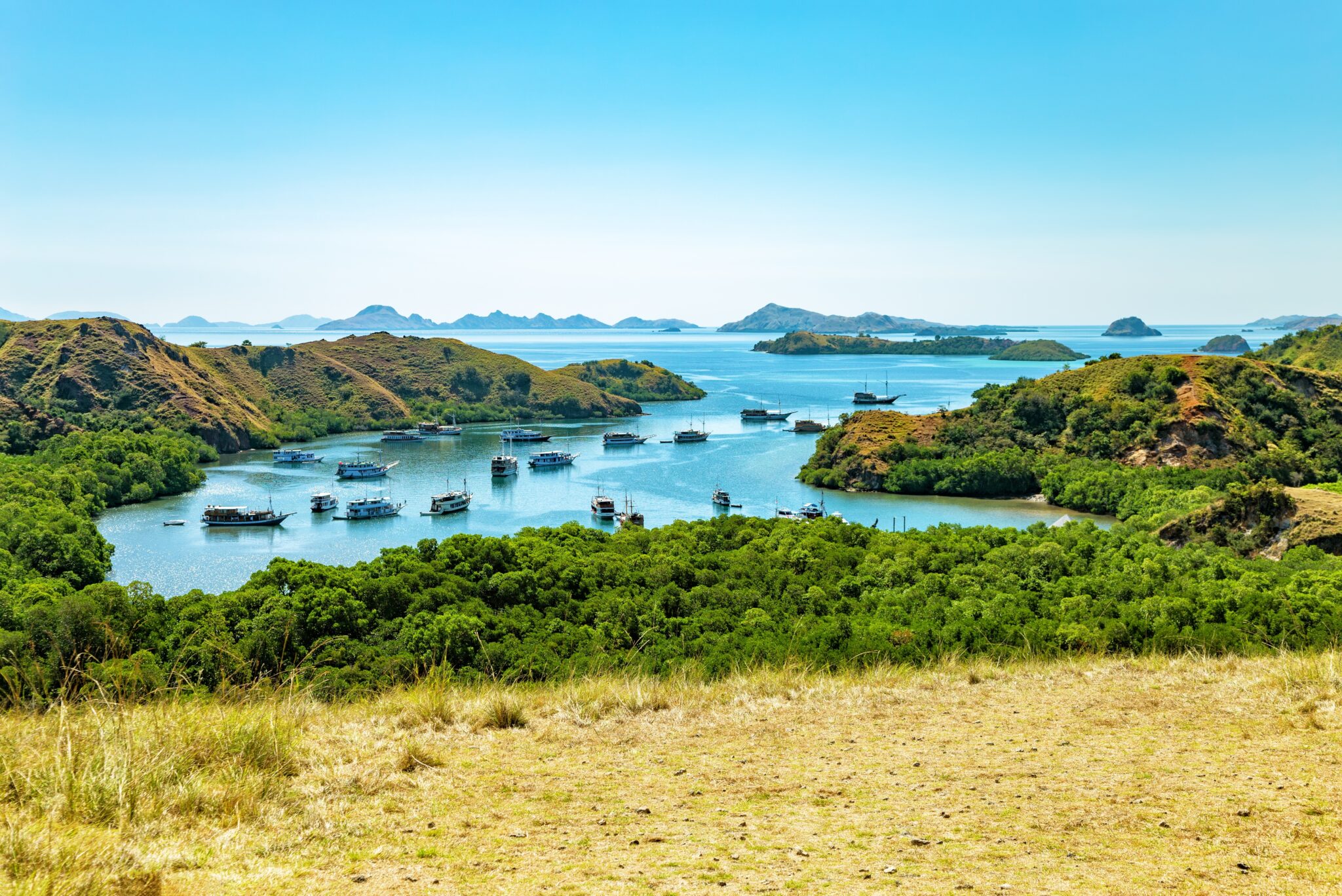 Island,Rinca,,Komodo,National,Park,,Flores,,Indonesia,,Southeast,Asia.,Coast