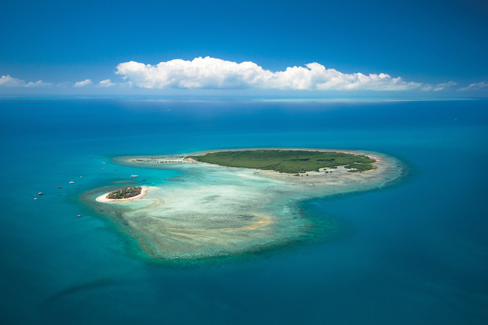 Low Isles Tropical North Queensland, Great Barrier Reef
