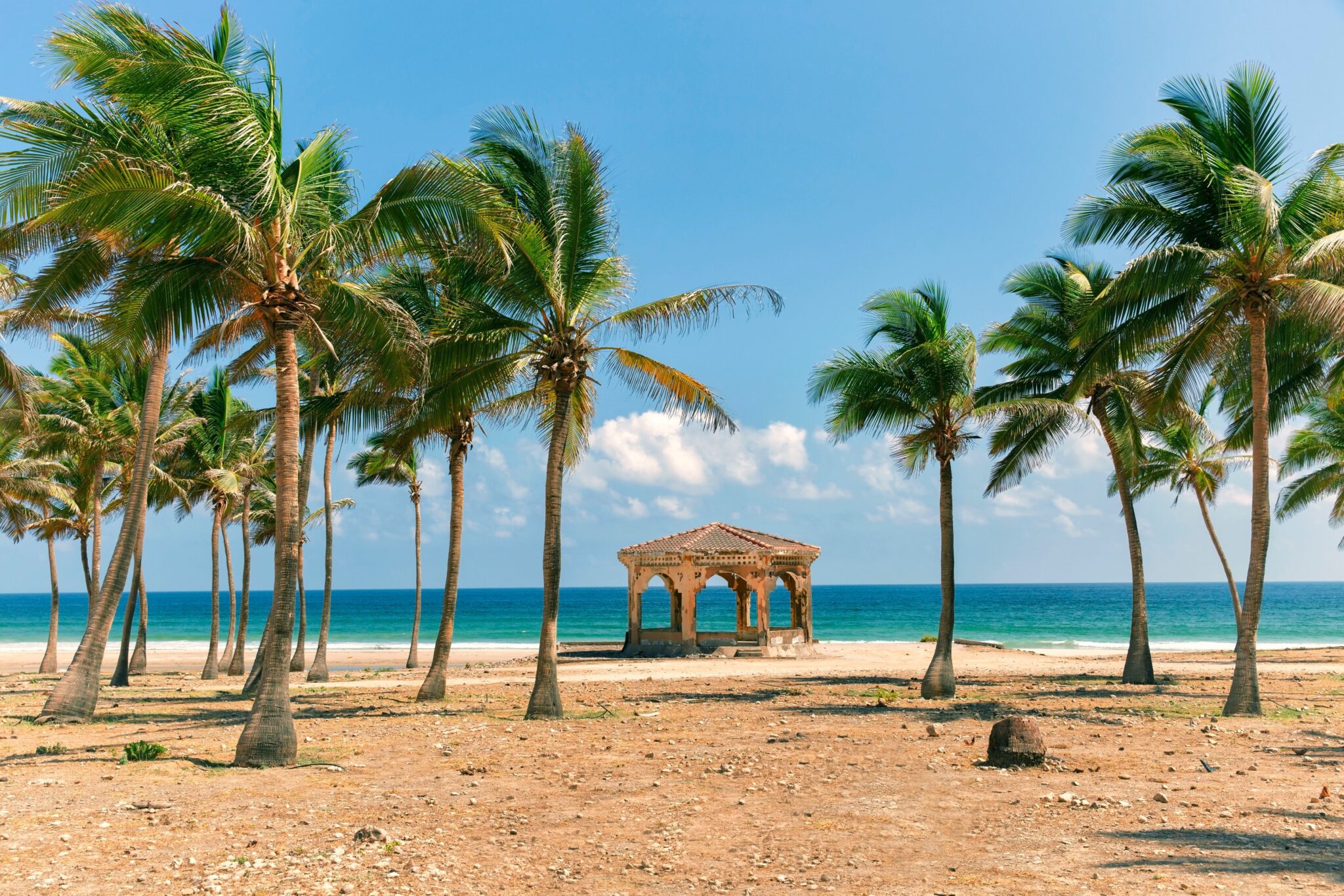Beach,With,Palm,Trees,In,Salalah,,Oman.