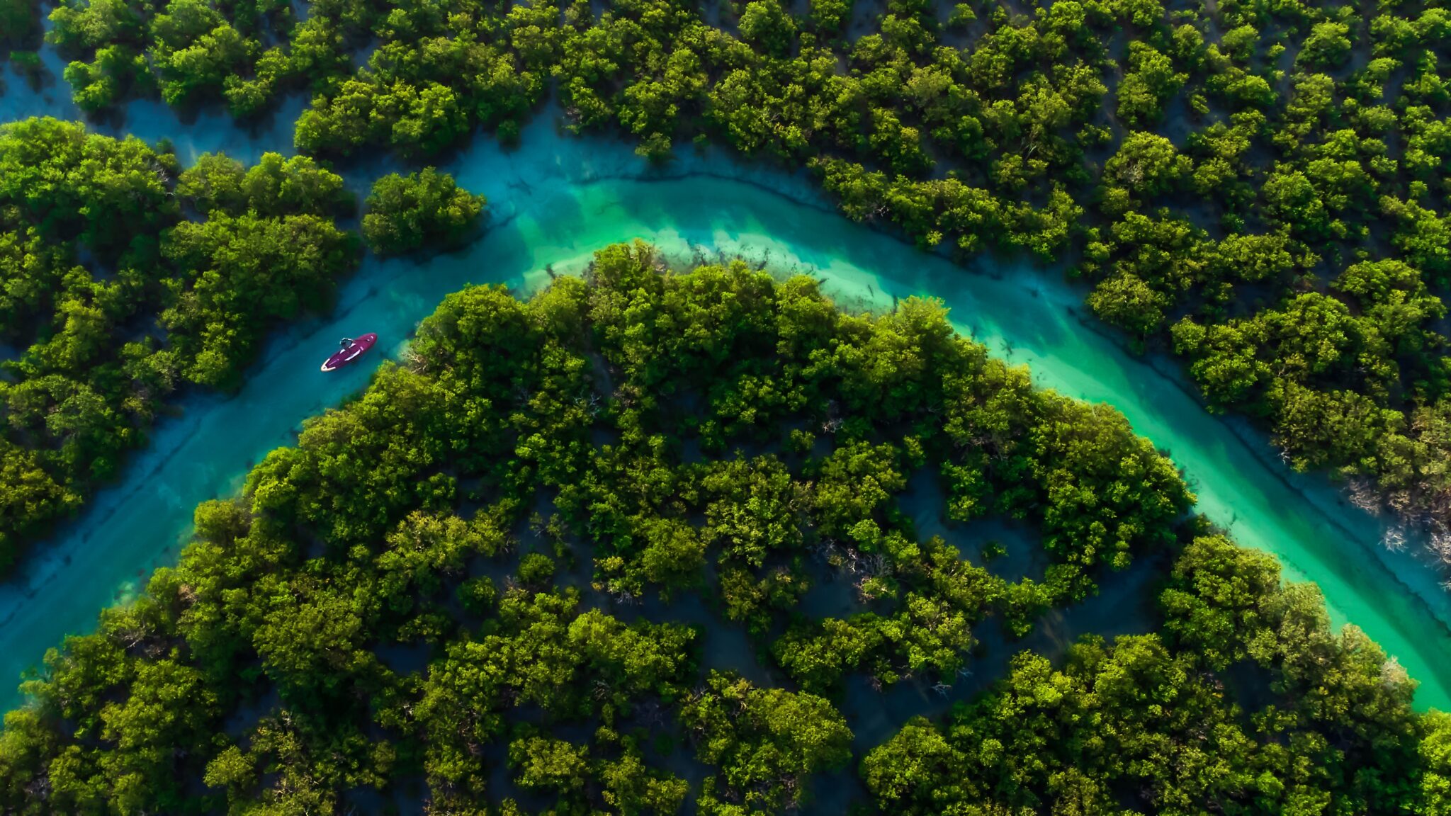 Qatar,Mangroves,Island,Aerial,View