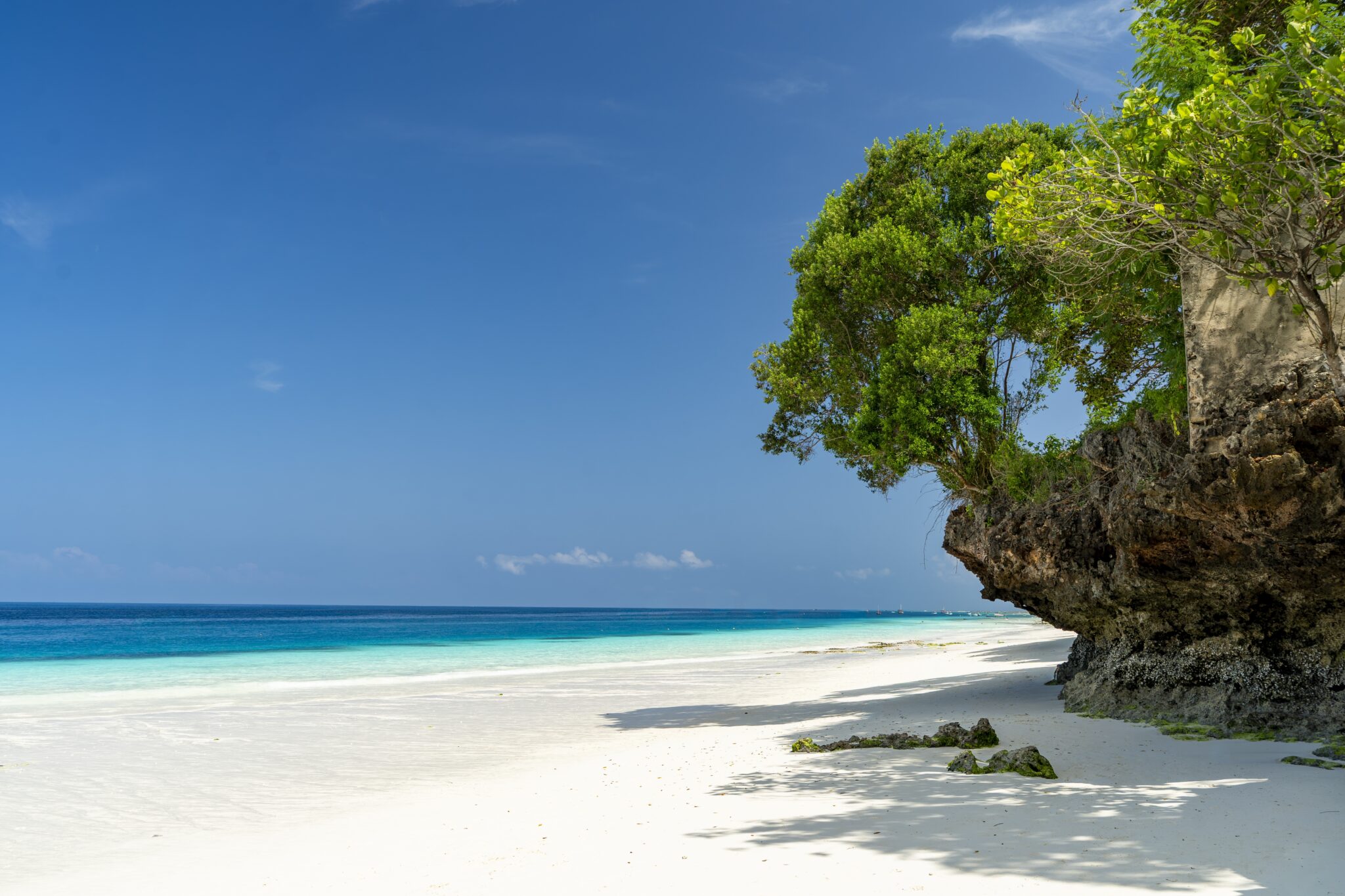Tanzania,,Zanzibar,,Nungwi,-,5,December,2025,-,The,Breathtaking