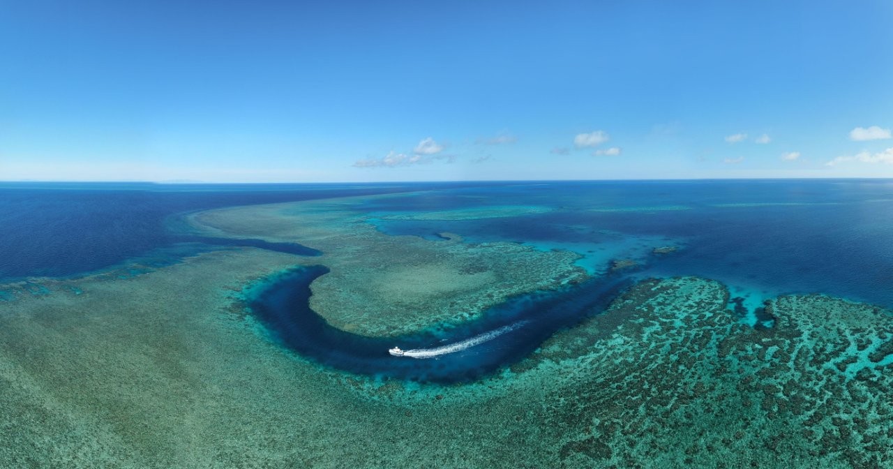 YongalaDive_Townsville_GBR_TEQ_145569