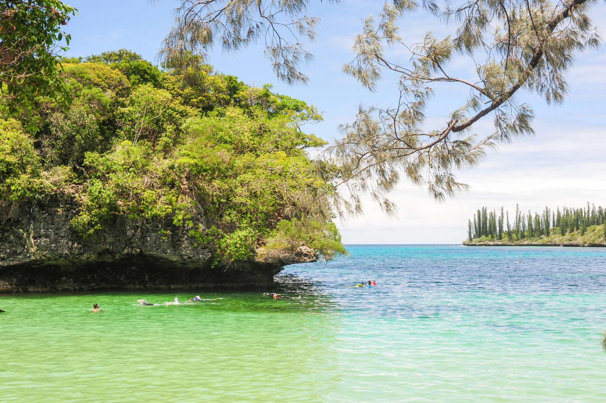 Isle,Of,Pines,,New,Caledonia,(île,Des,Pins)