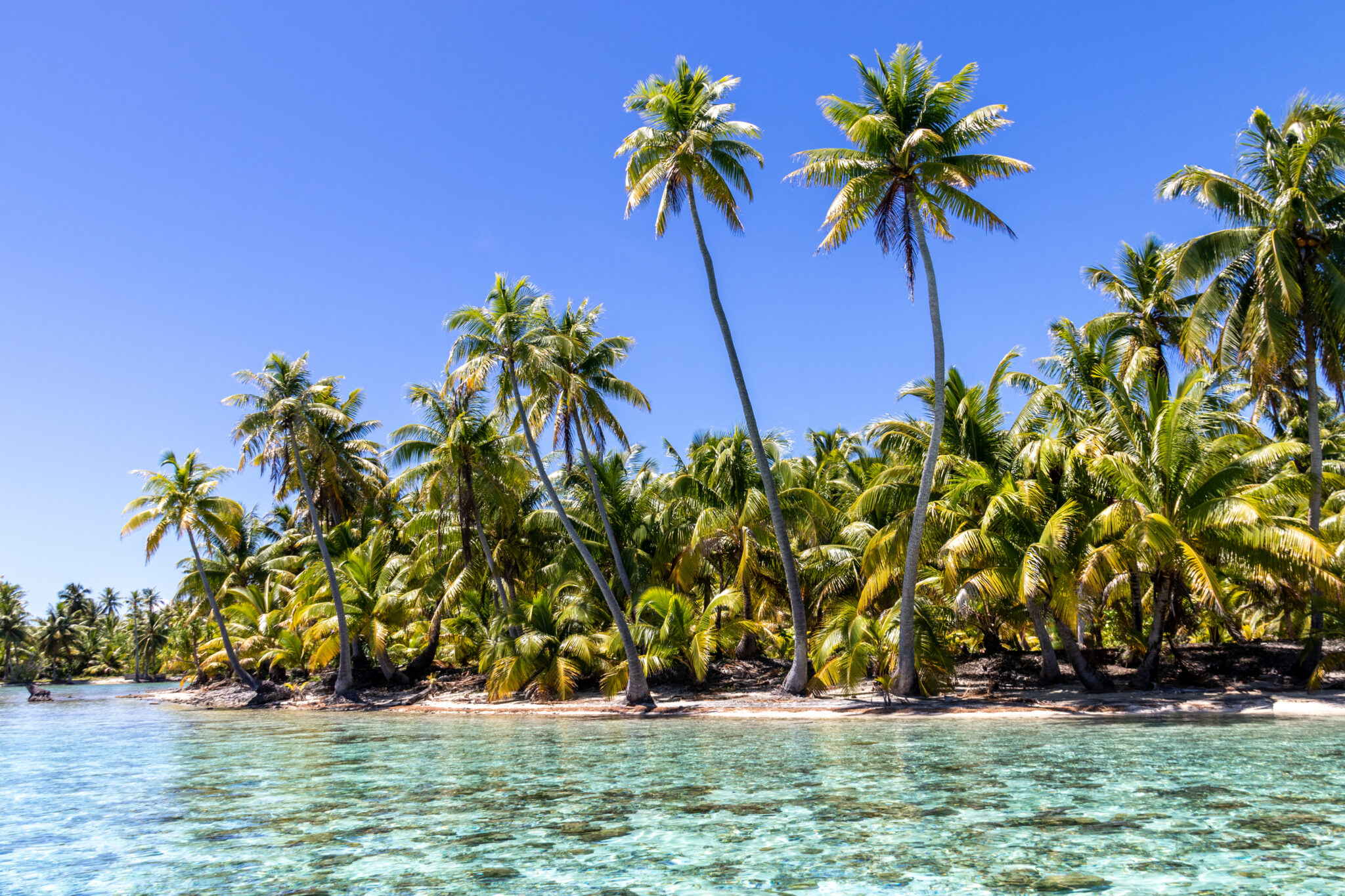 Paradise,Beach,At,Taha’a,-,French,Polynesia