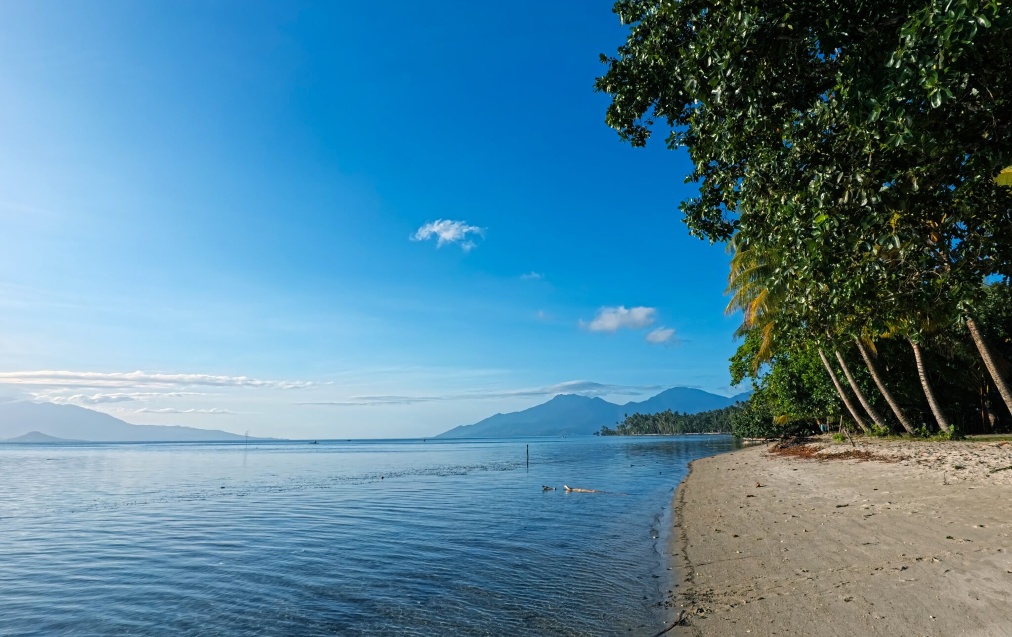 Travelling,,Milne,Bay,,Papua,New,Guinea