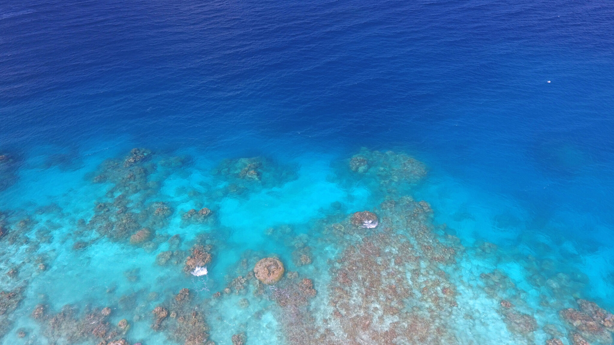 Apataki,Lagoon,Sea,Blue,Water