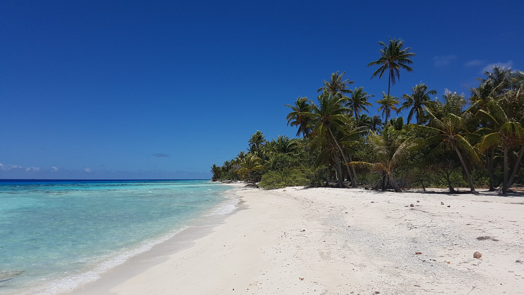Fakarava,,Tuamotu,Islands,In,French,Polynesia