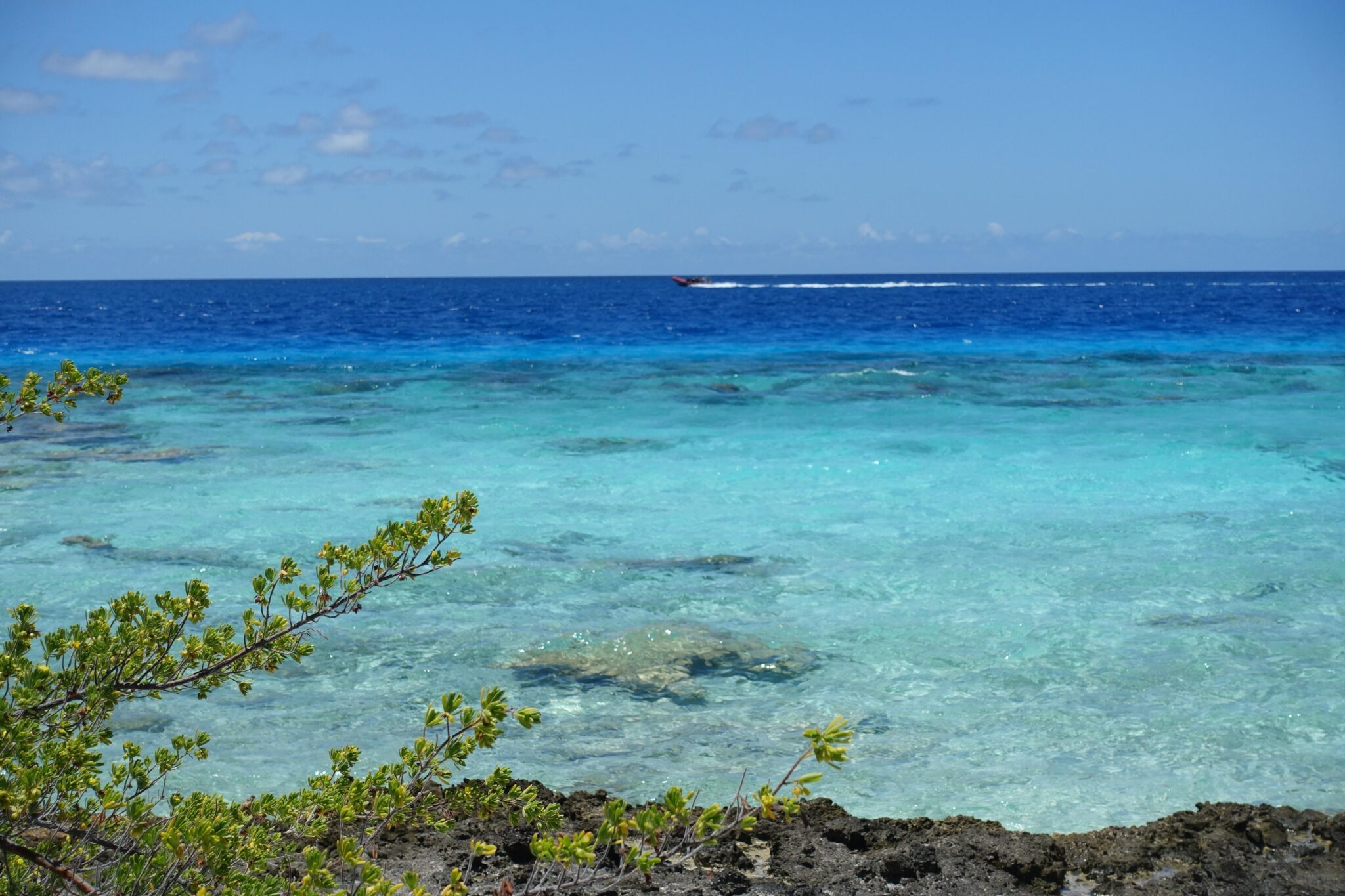 Fakarava,Island,,Tuamotu,Archipelago,,French,Polynesia
