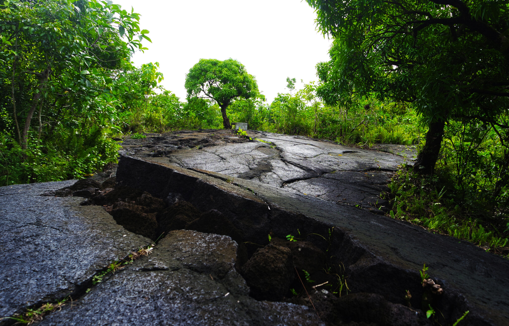 Saleaula,Lava,Field,In,Samoa