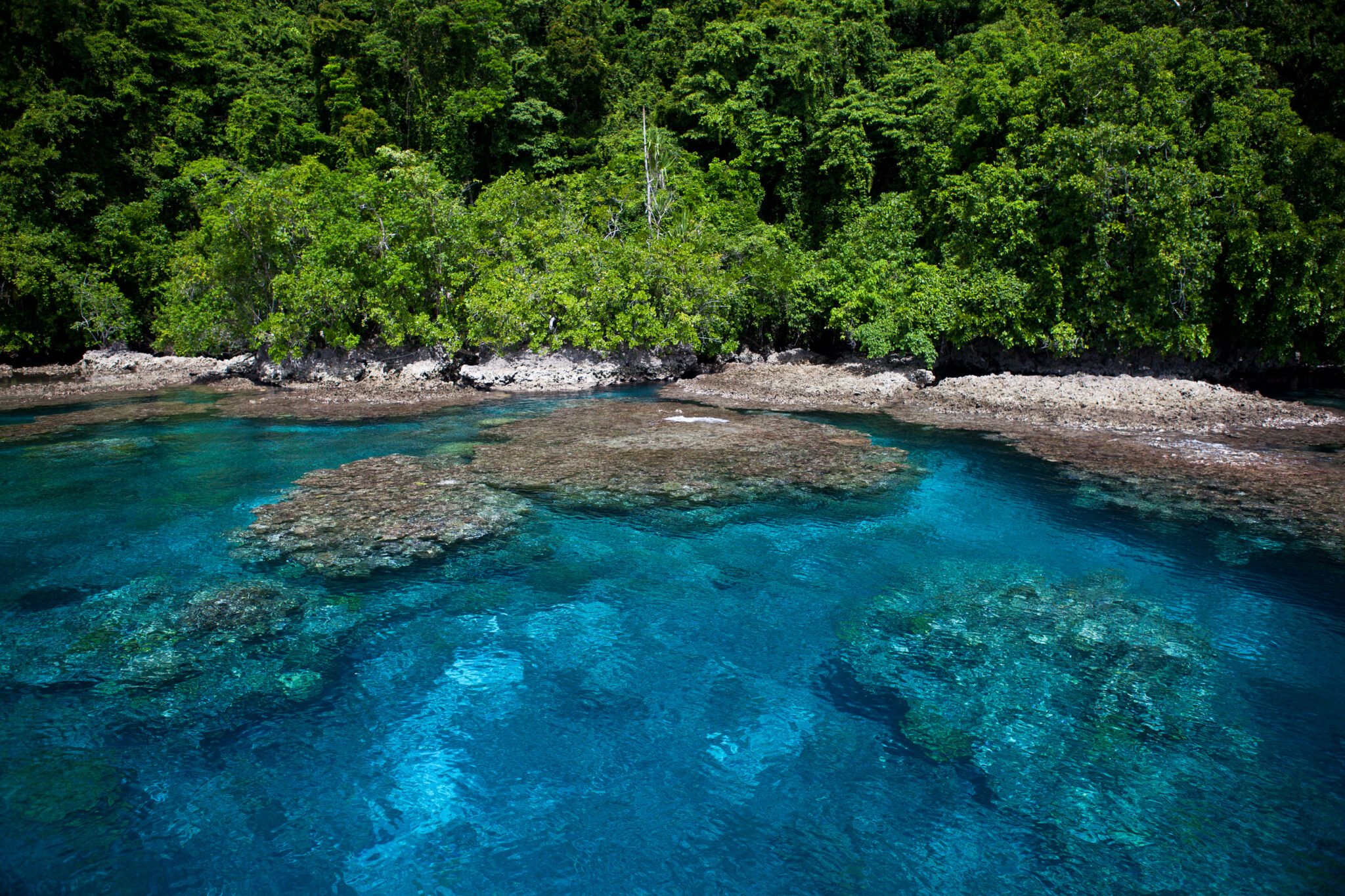 A,Fringing,Coral,Reef,Grows,Along,The,Edge,Of,A
